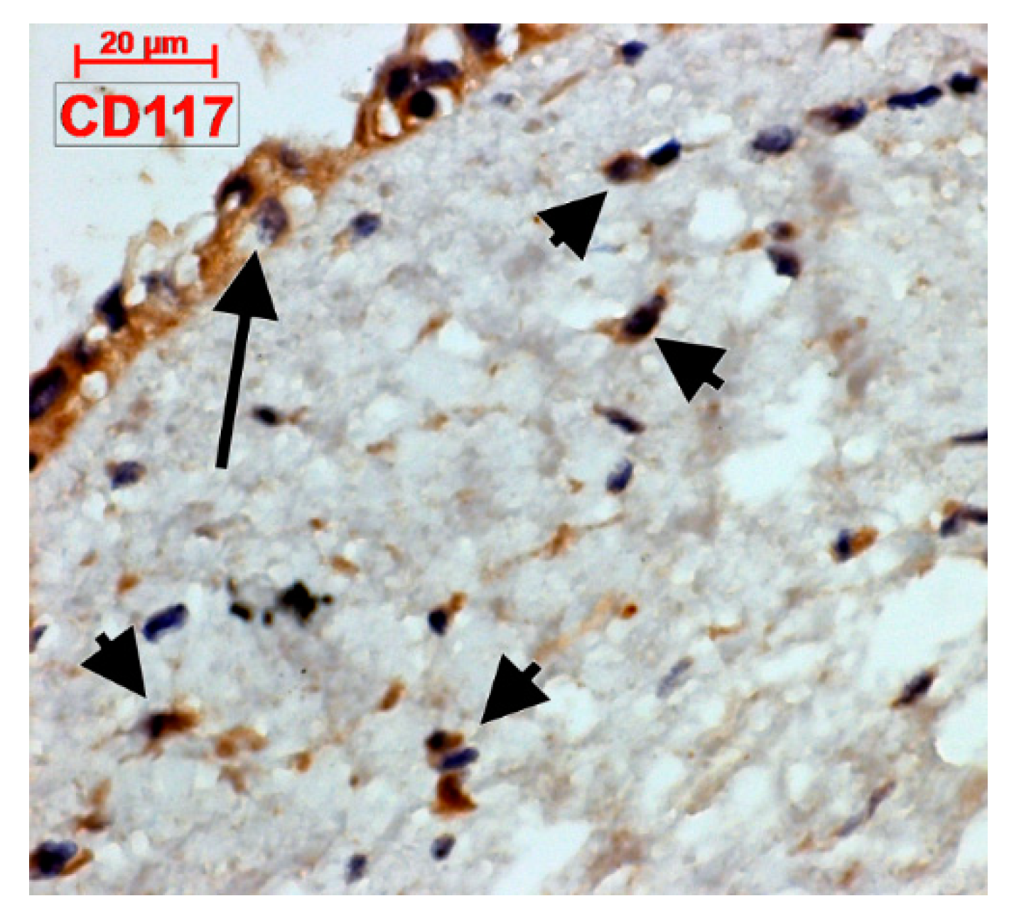 Applsci 09 01615 g003 Applsci 09 01615 g003