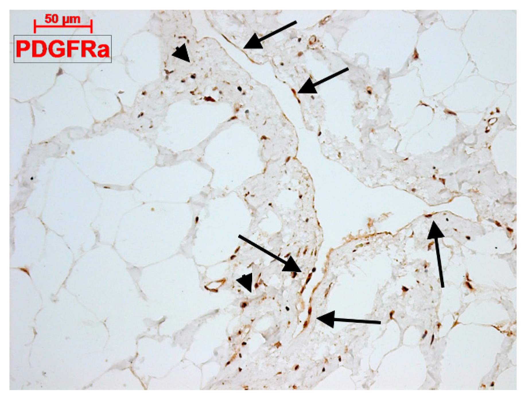 Applsci 09 01615 g004 Applsci 09 01615 g004