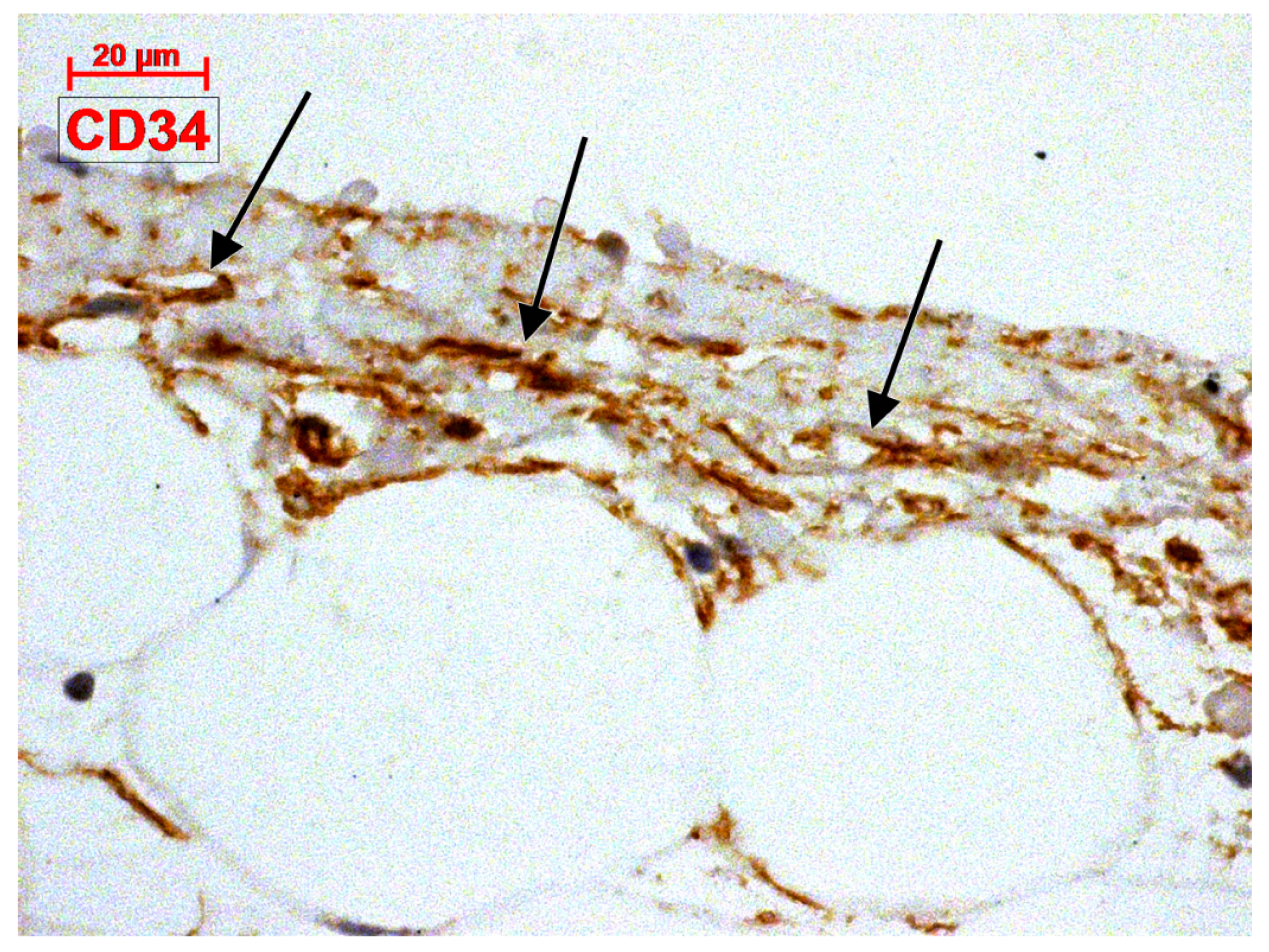 Applsci 09 01615 g005 Applsci 09 01615 g005