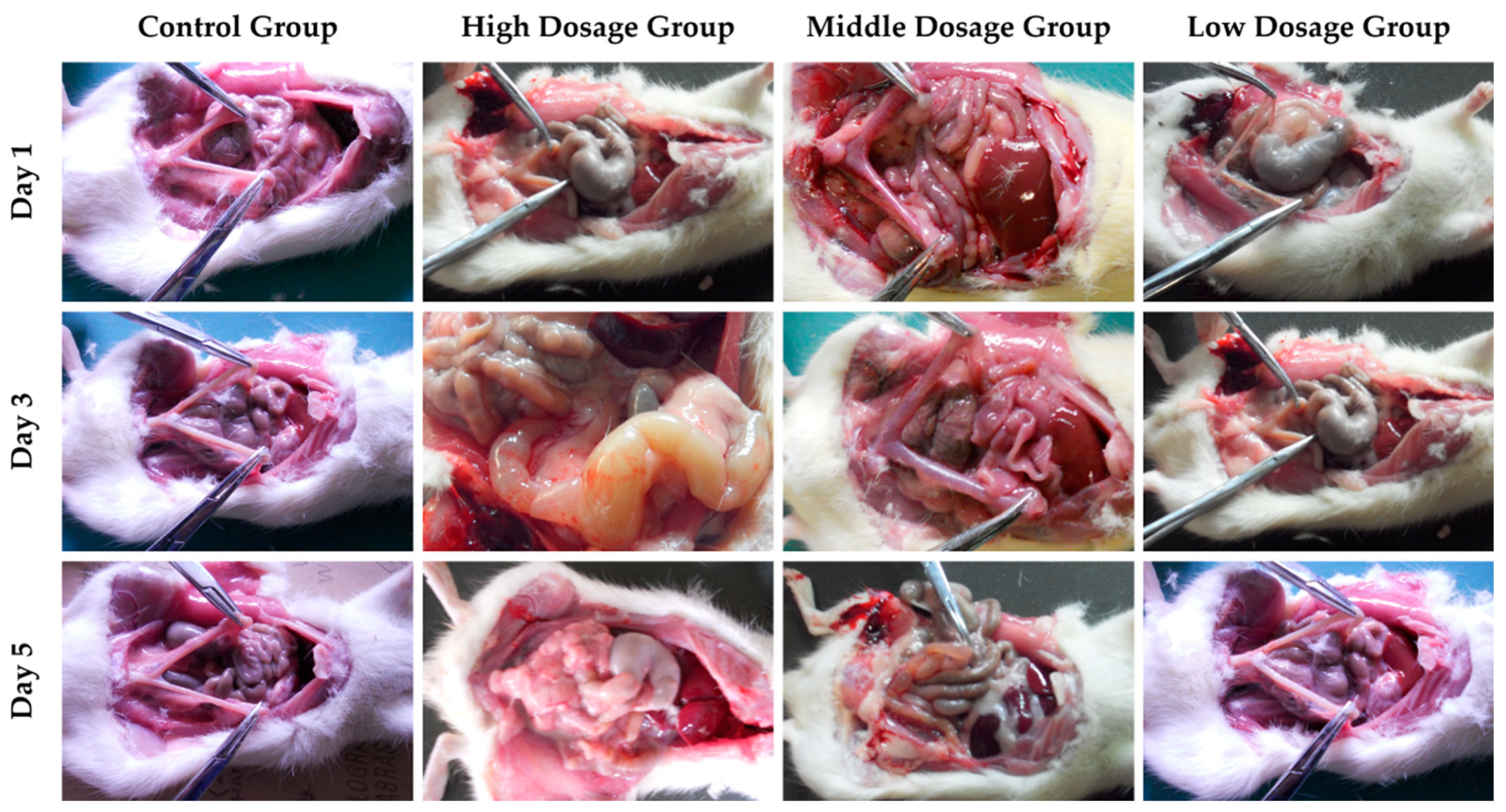 Applsci 09 01638 g004