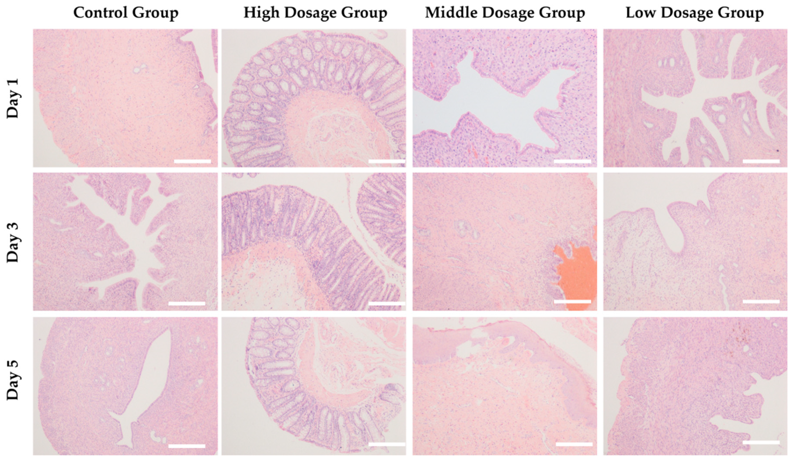 Applsci 09 01638 g006