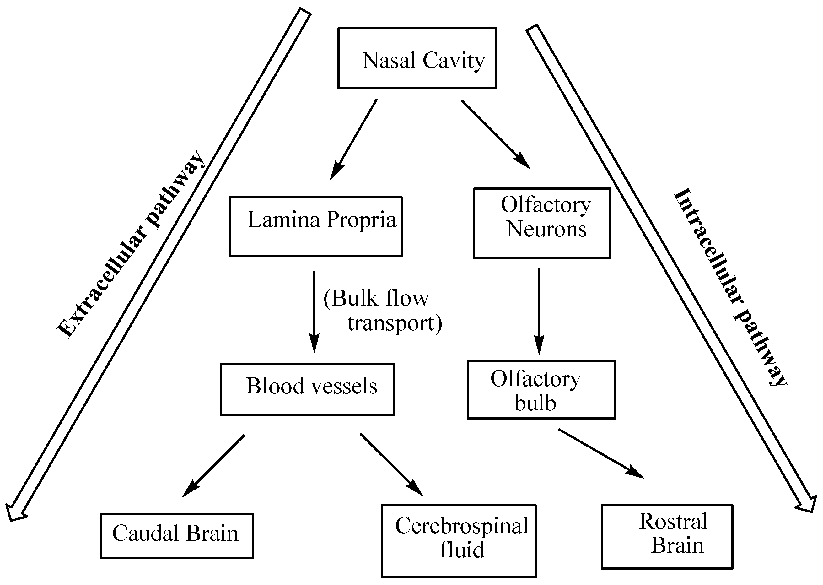 Applsci 09 02219 g003