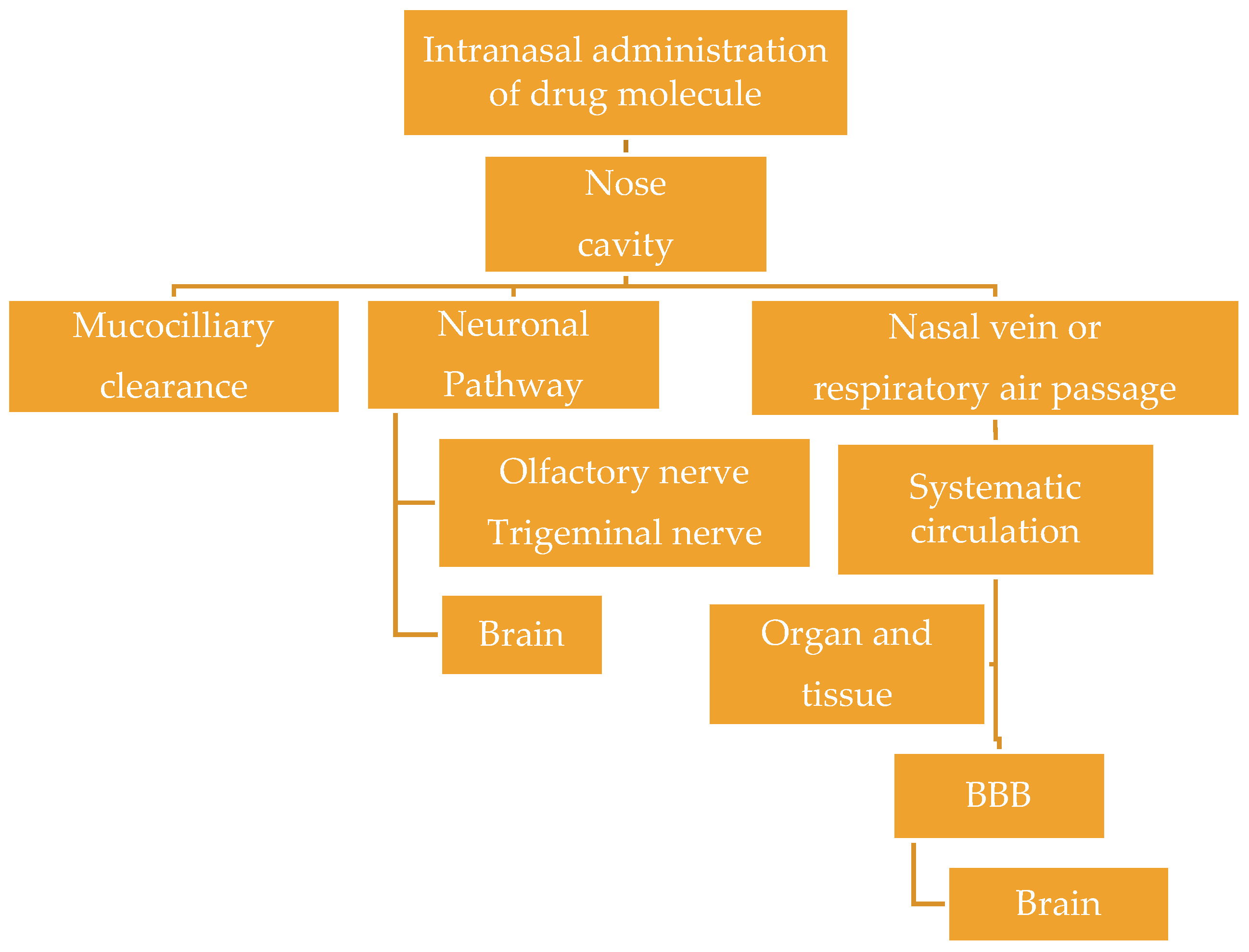 Applsci 09 02219 g004
