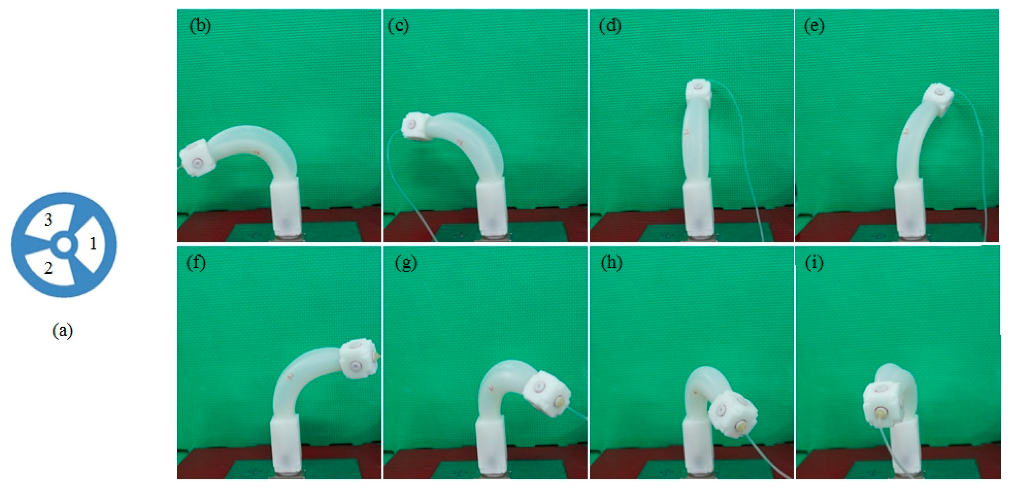 Applsci 09 02260 g017