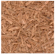 Applsci 09 02345 i010