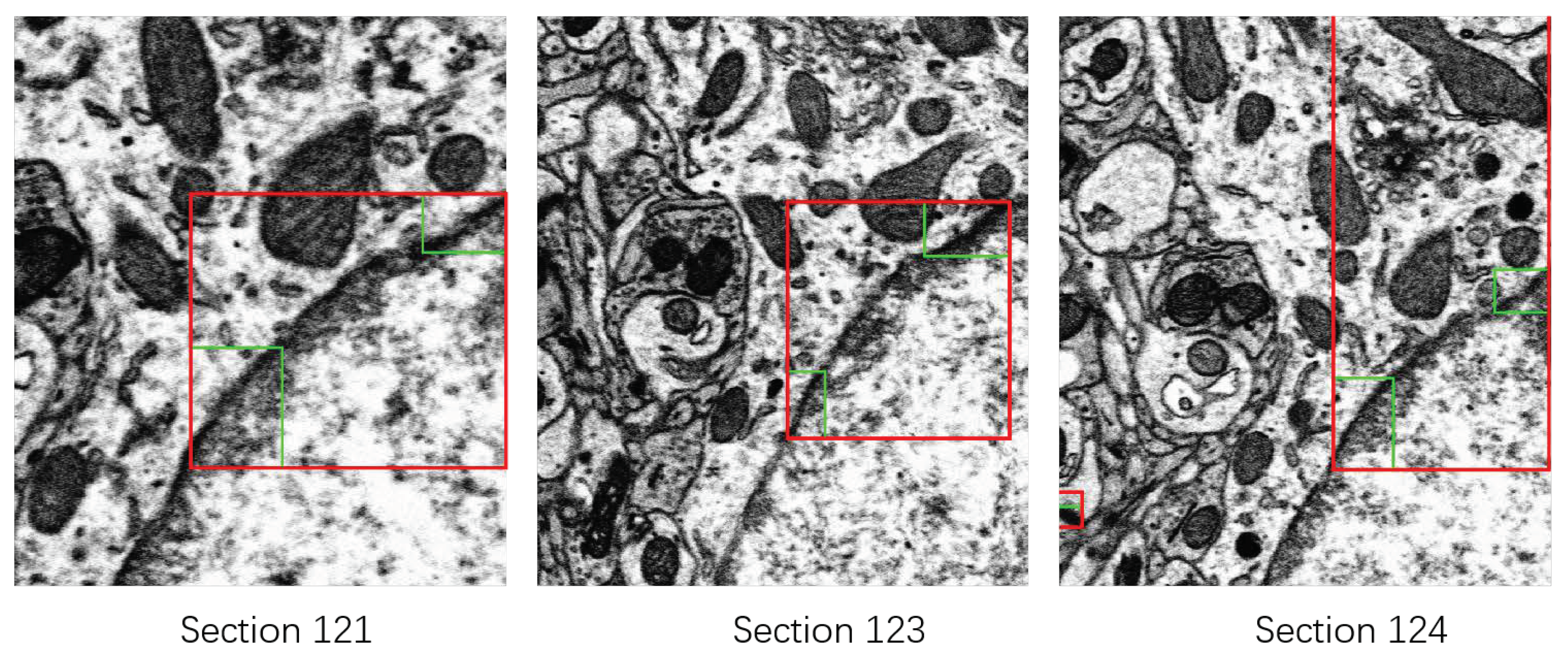 Applsci 09 02591 g016