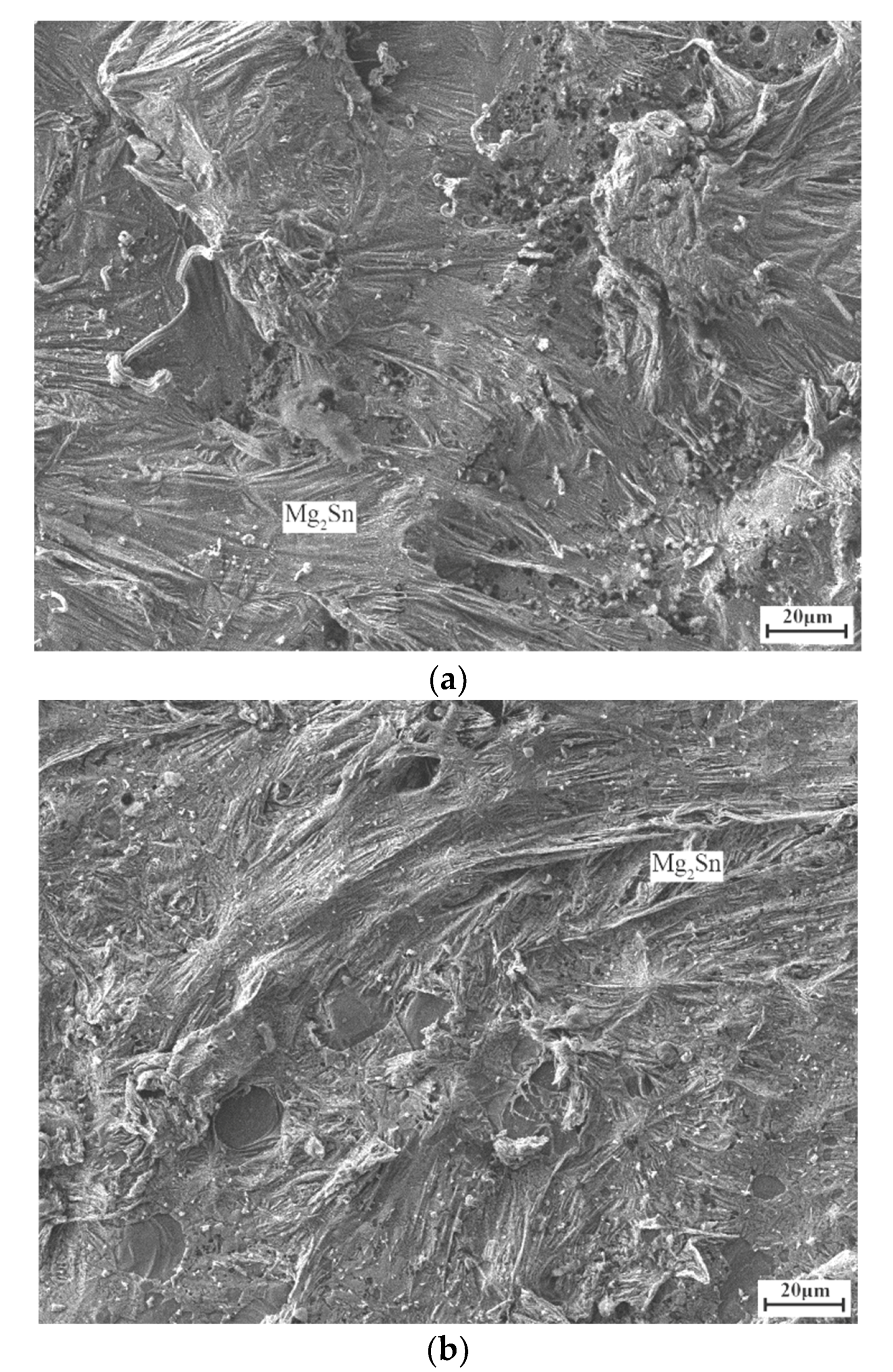 Applsci 09 02655 g004