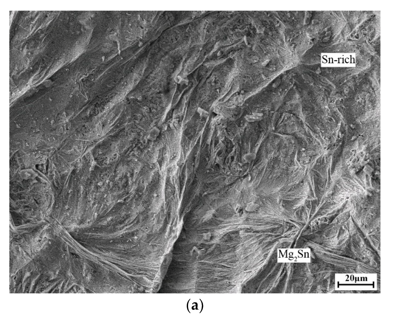 Applsci 09 02655 g006a