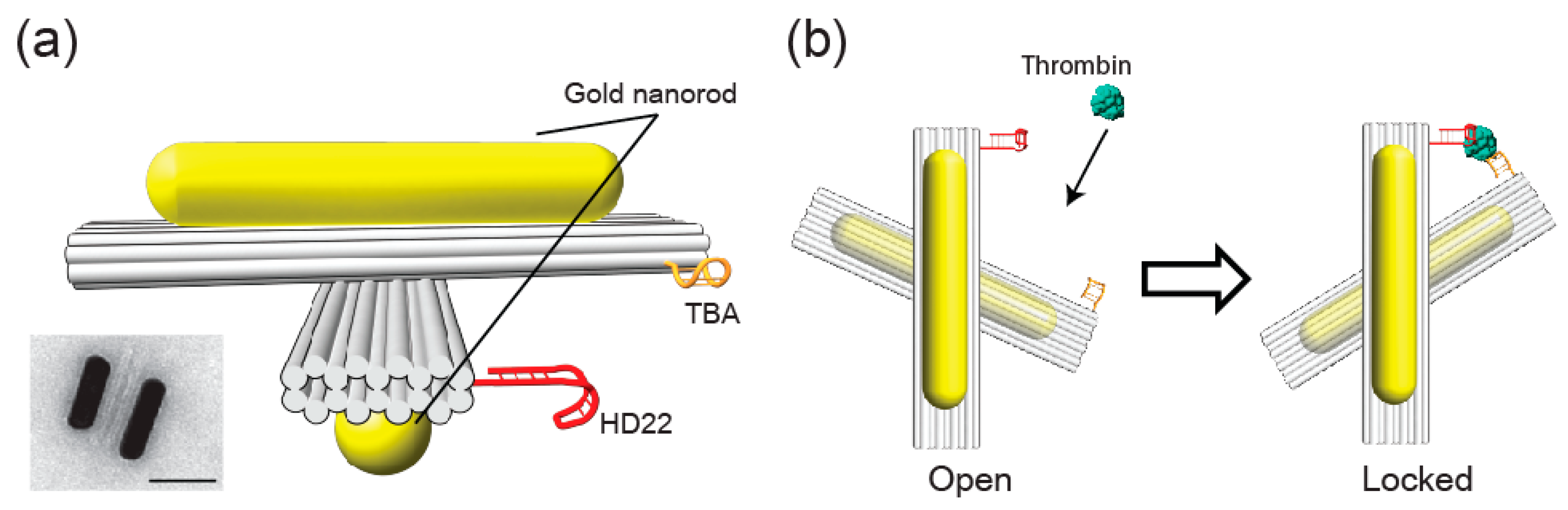 Applsci 09 03006 g001 Applsci 09 03006 g001