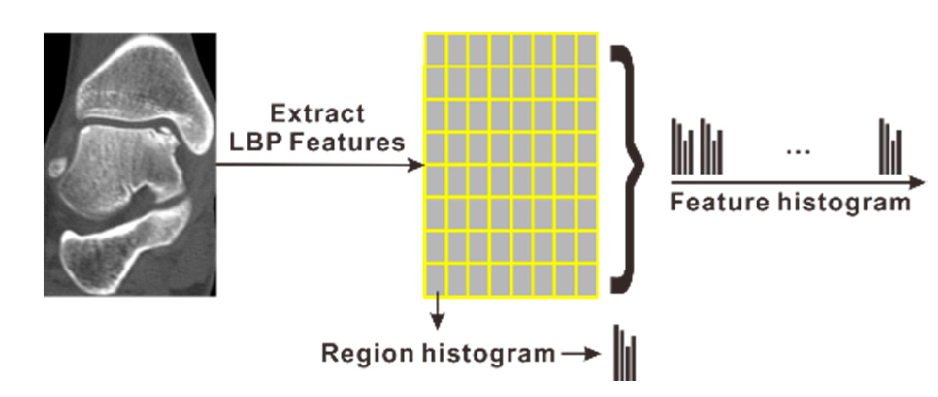 Applsci 09 03011 g004 Applsci 09 03011 g004
