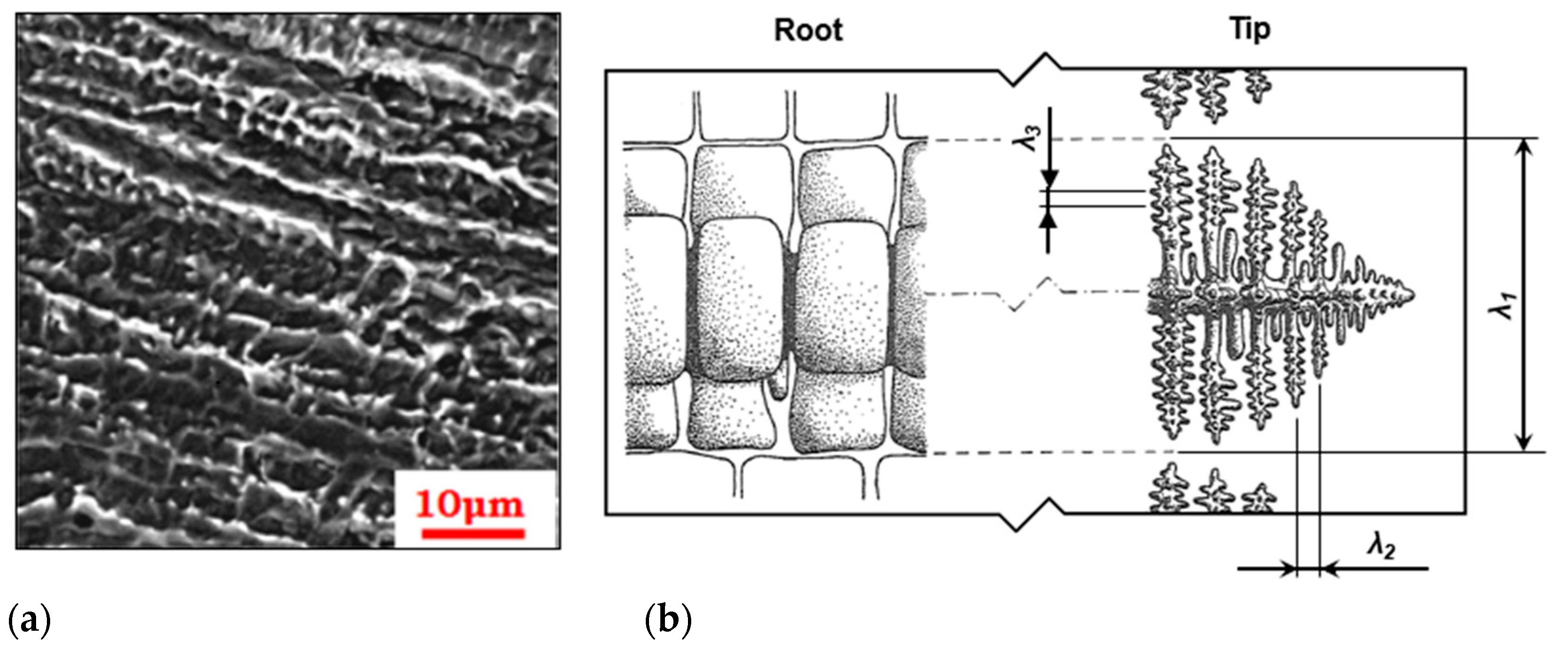 Applsci 09 03118 g008