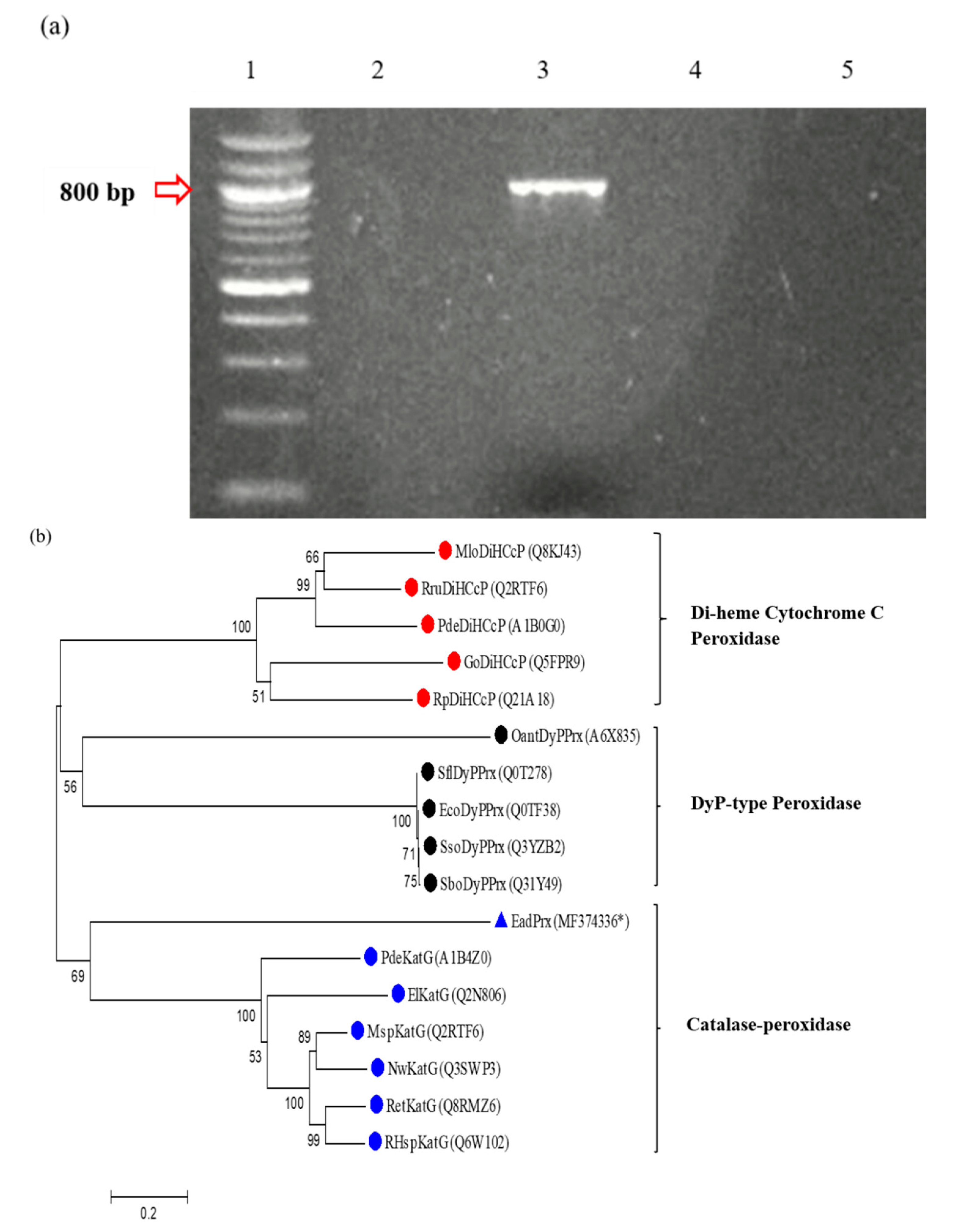Applsci 09 03121 g004 Applsci 09 03121 g004