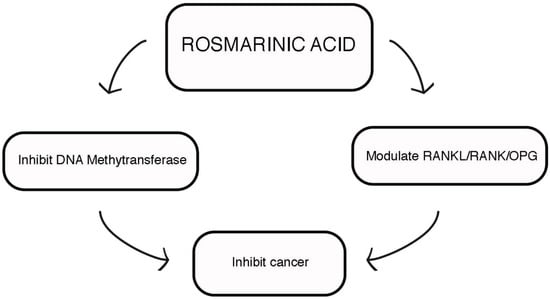 Applied Sciences | Free Full-Text | Therapeutic Potential of Rosmarinic  Acid: A Comprehensive Review | HTML