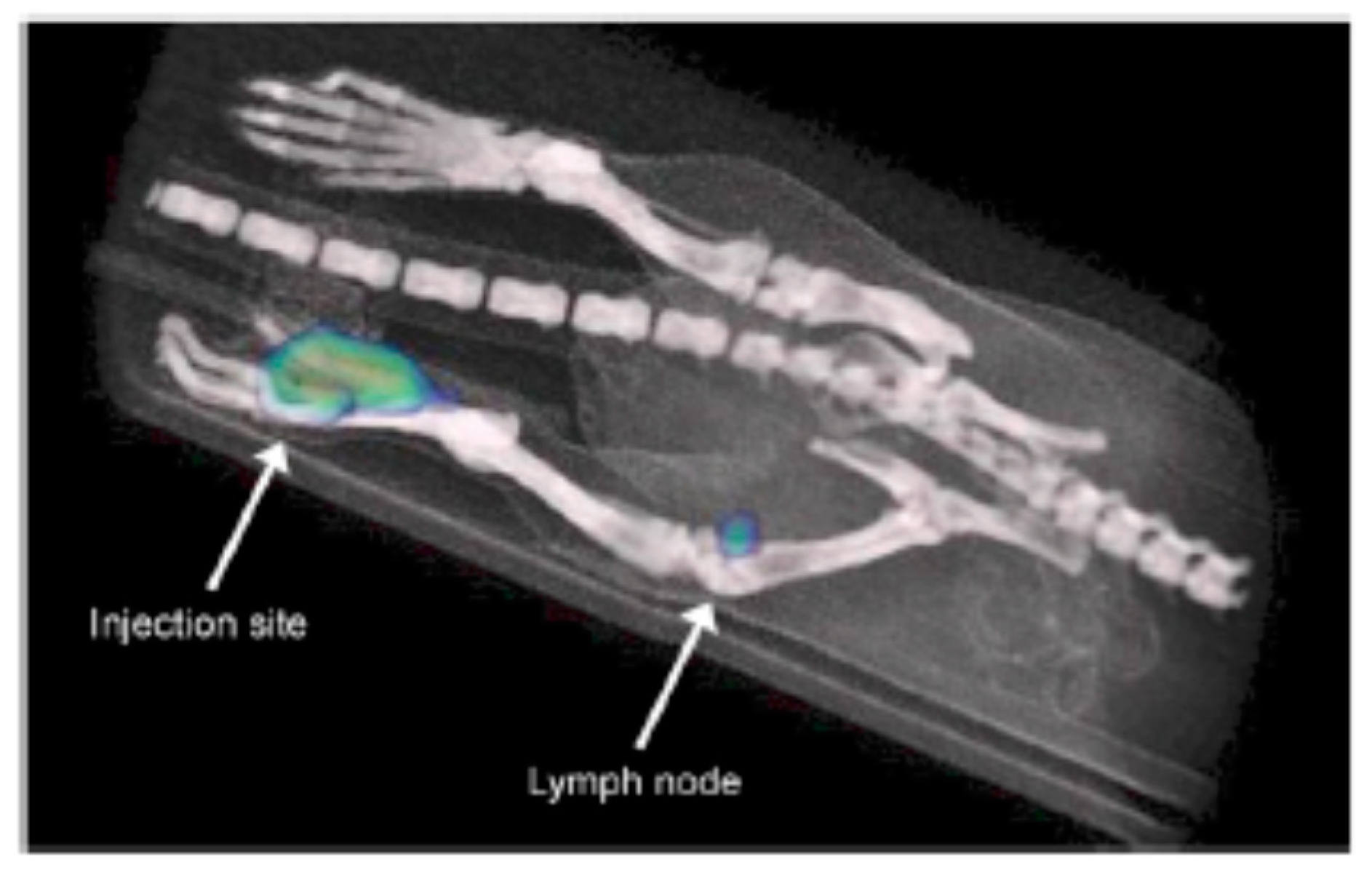 Applsci 09 03232 g009 Applsci 09 03232 g009