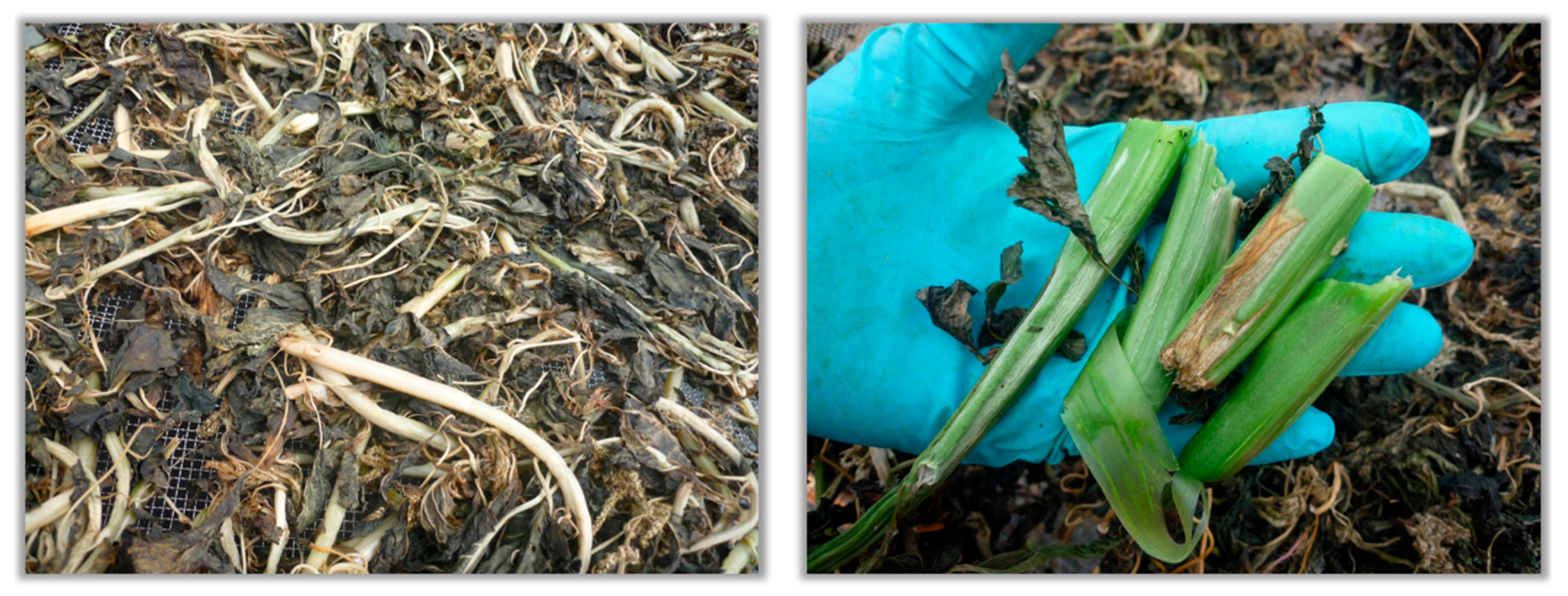 Applsci 09 03431 g008