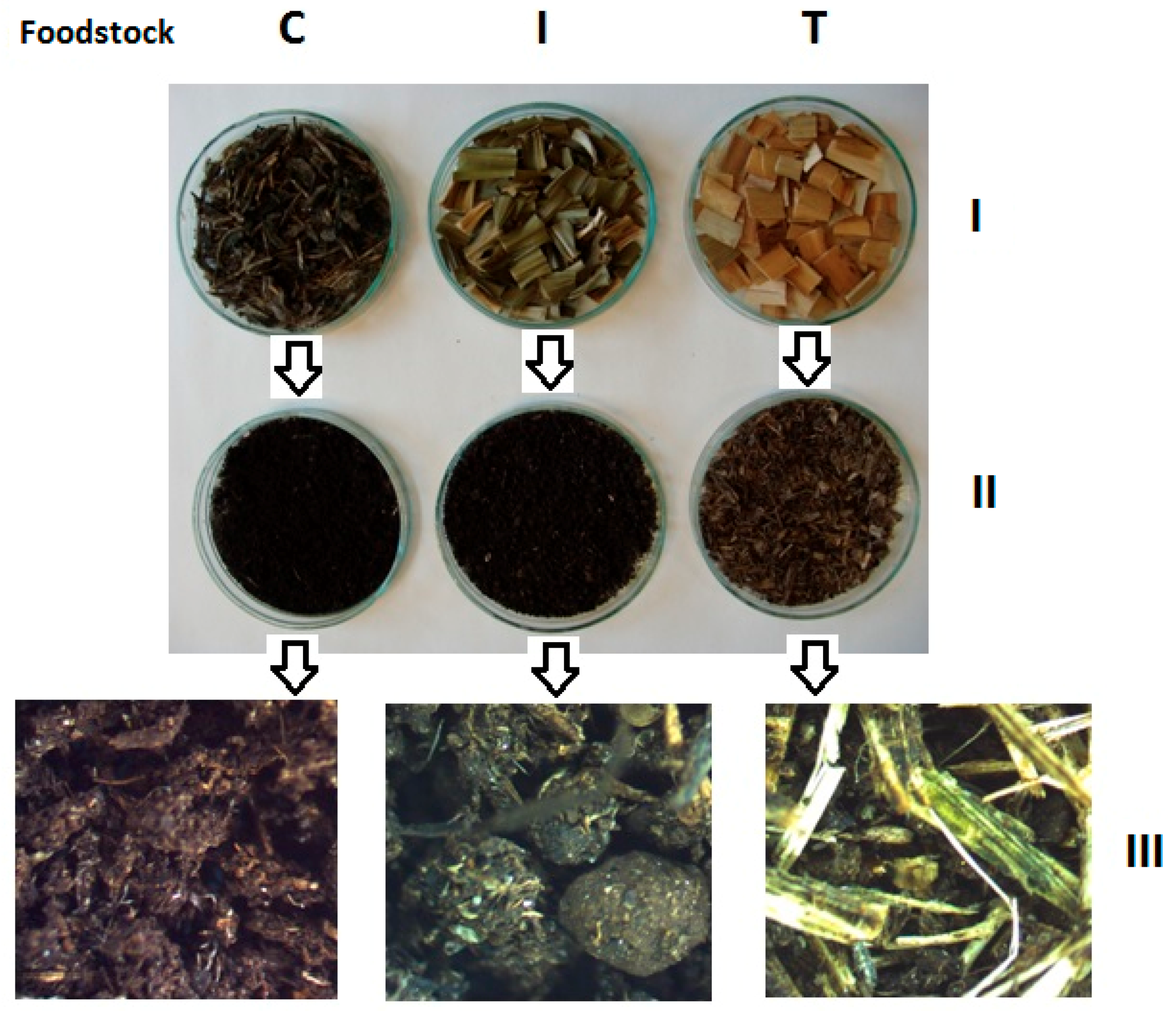 Vers de compost - Eisenia fetida achat 250g - TERRESTRIS