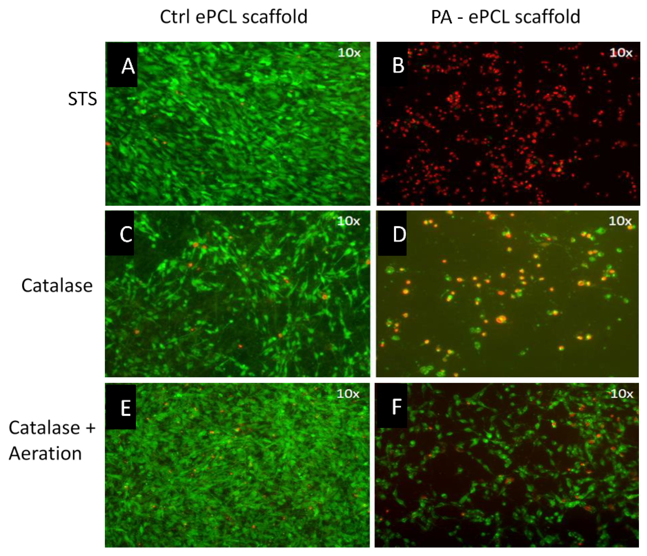 Applsci 09 03682 g004 Applsci 09 03682 g004