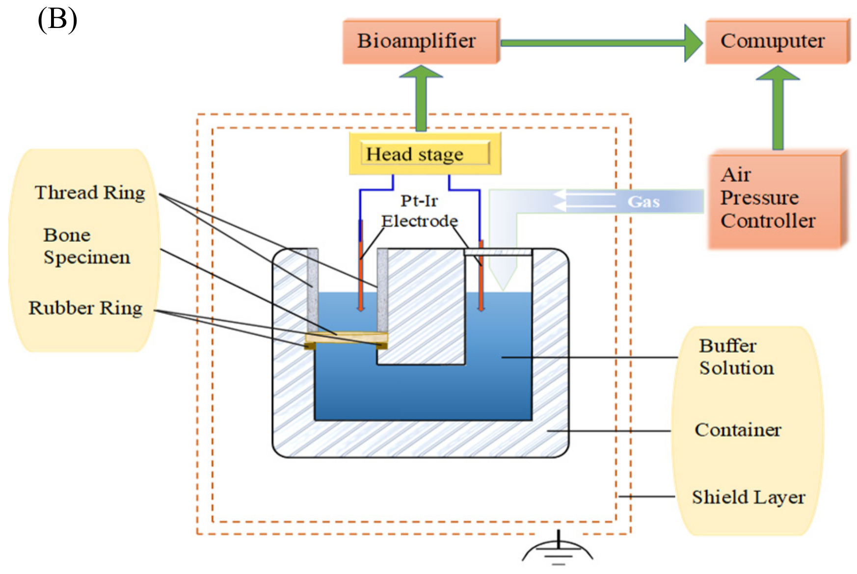 Applied Sciences Free Full Text Variation Of Streaming Potentials With Time Under Steady Fluid Pressure In Bone Html