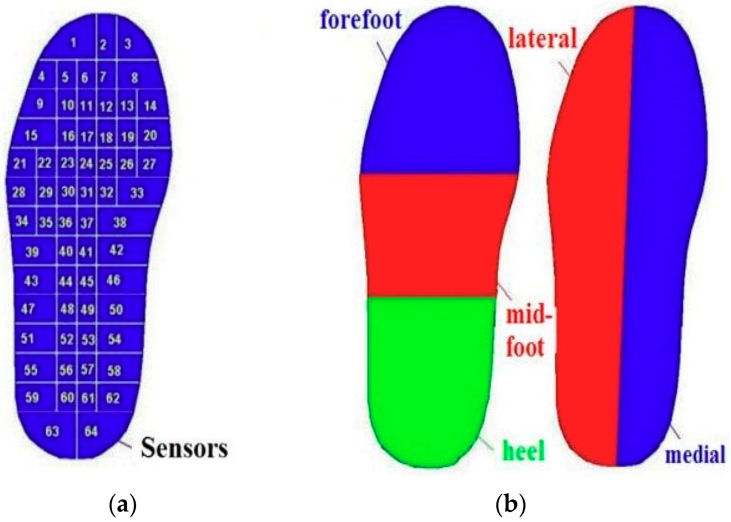 Applied Sciences | Free Full-Text | Shoe Cushioning Effects on Foot ...