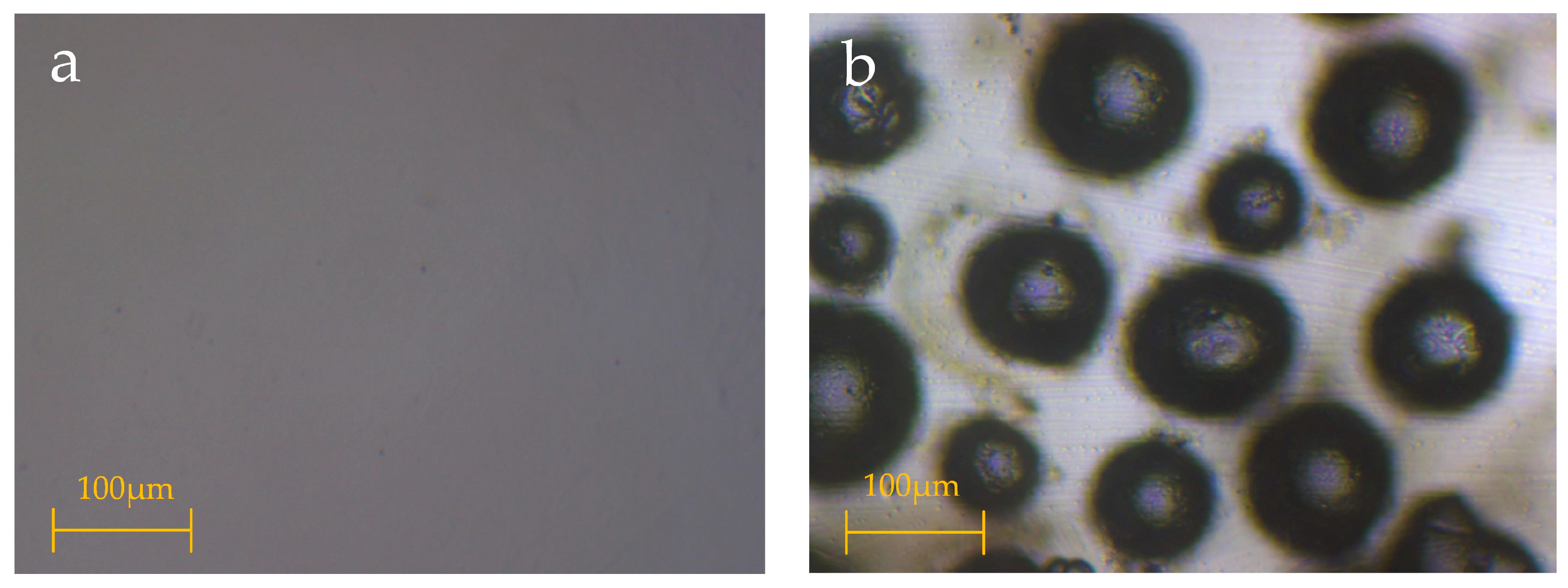 Applsci 09 04098 g001