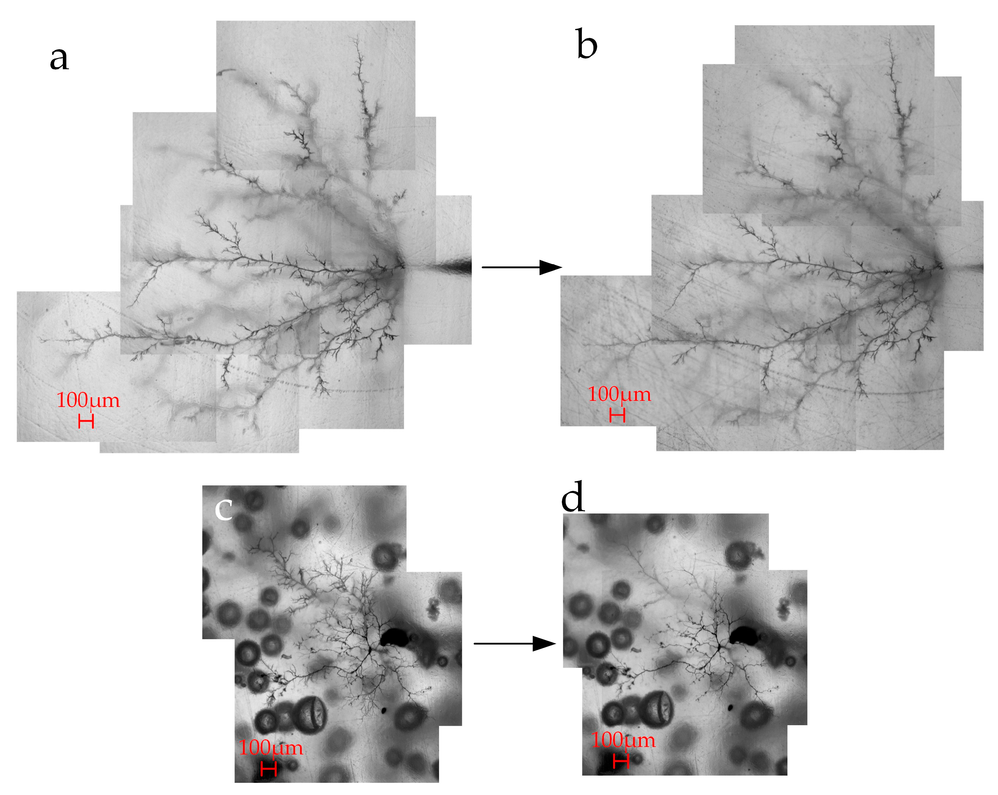 Applsci 09 04098 g007