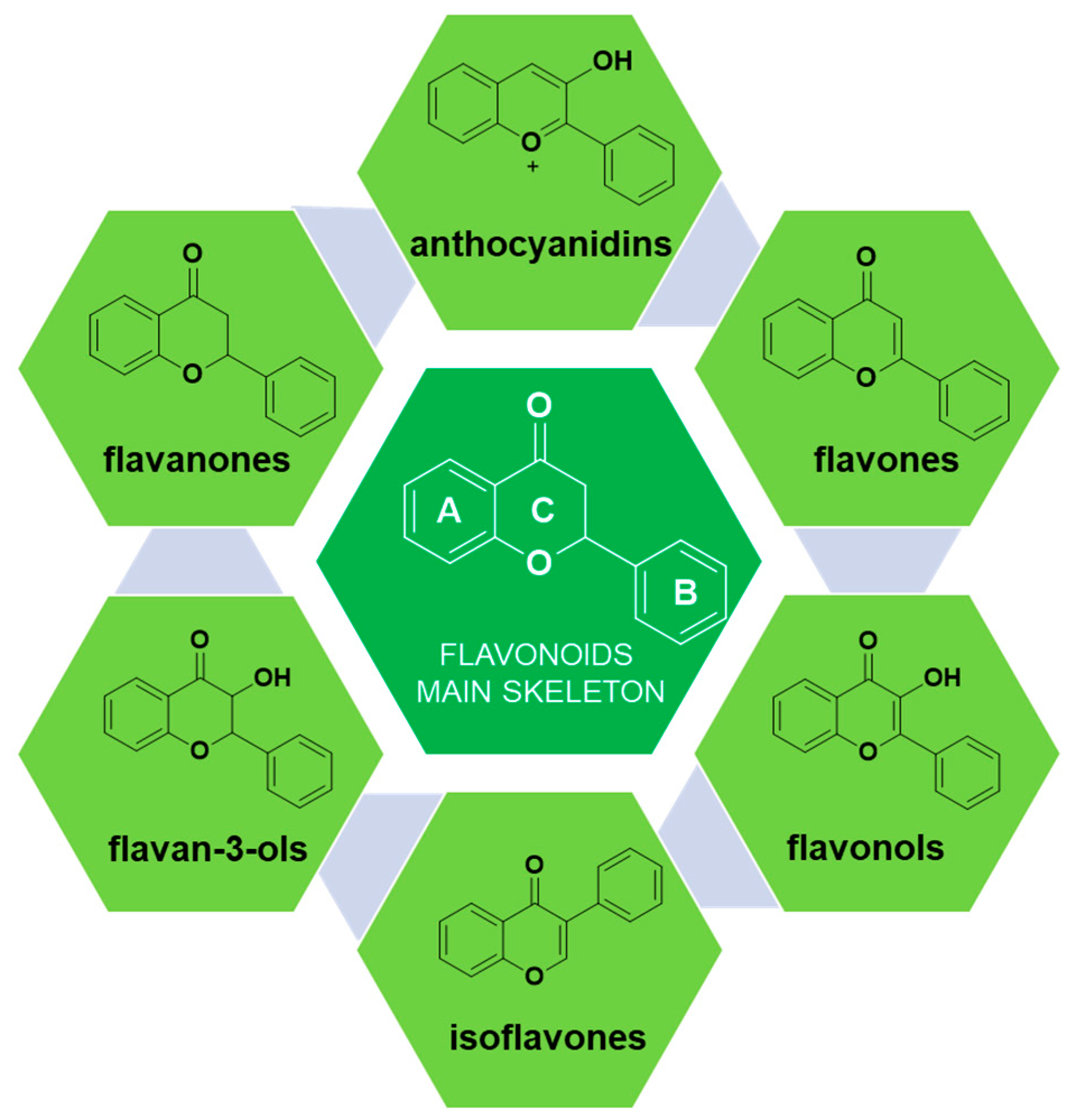 G&S ESSENCE - Additif intégral essence - Green Safe Additifs