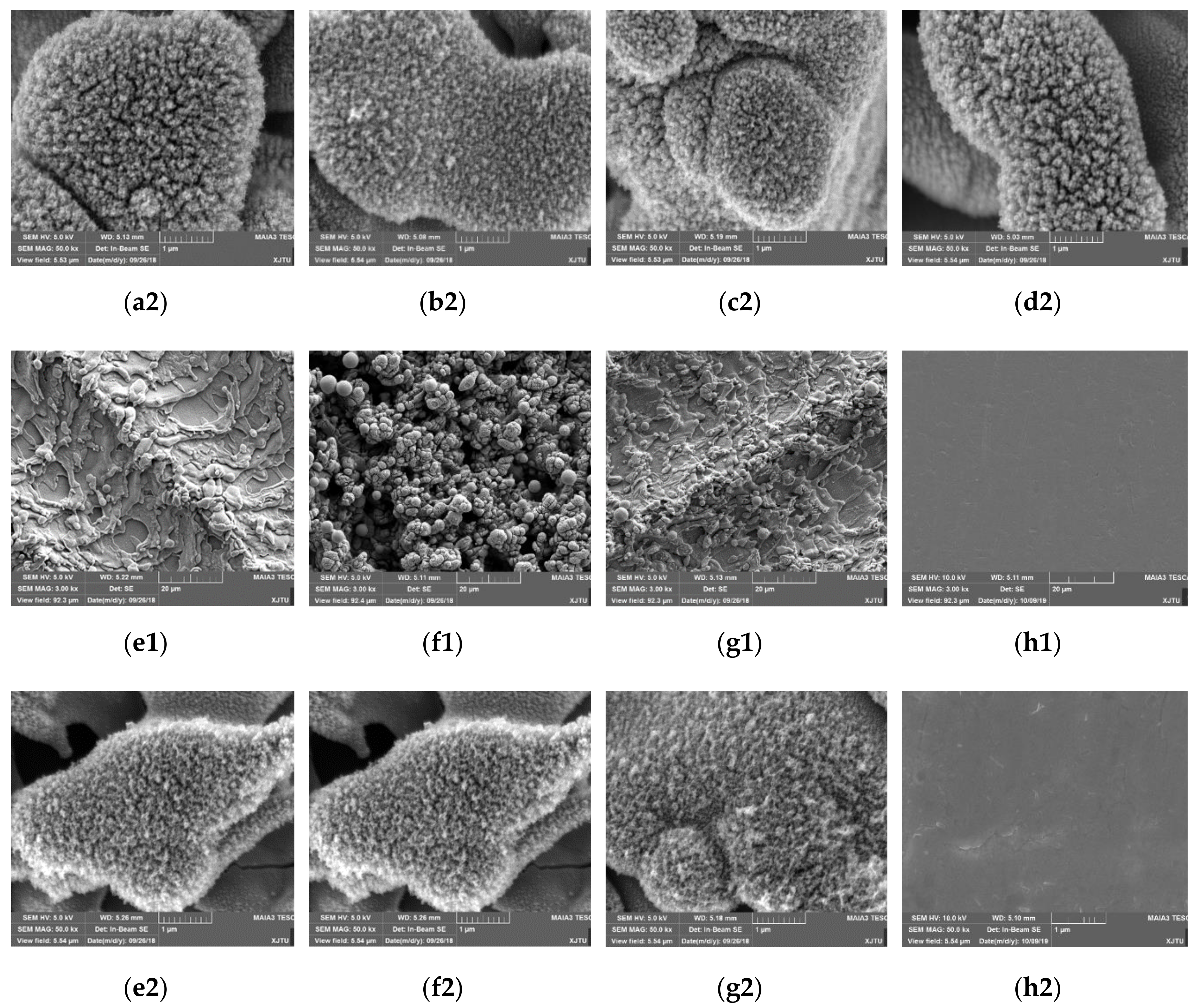 Applsci 09 04374 g003b Applsci 09 04374 g003b