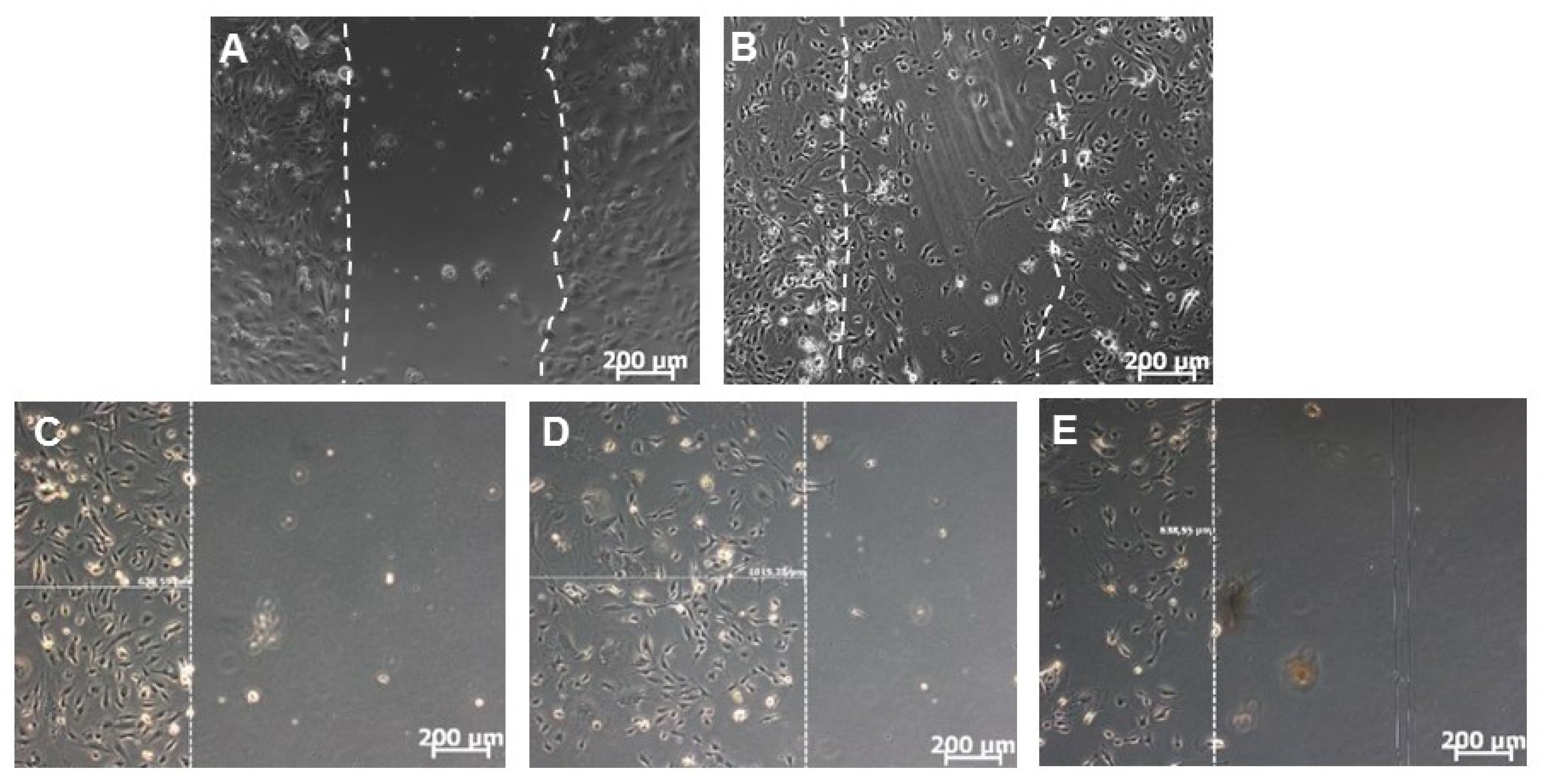 Applsci 09 04414 g007