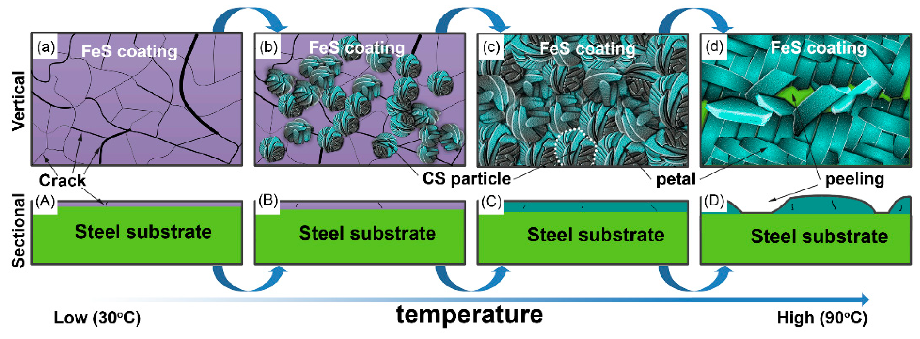 Applied Sciences | Free Full-Text | Microstructure and Tribological  Properties of Self-Lubricating FeS Coating Prepared by Chemical Bath  Deposition Coating Technique