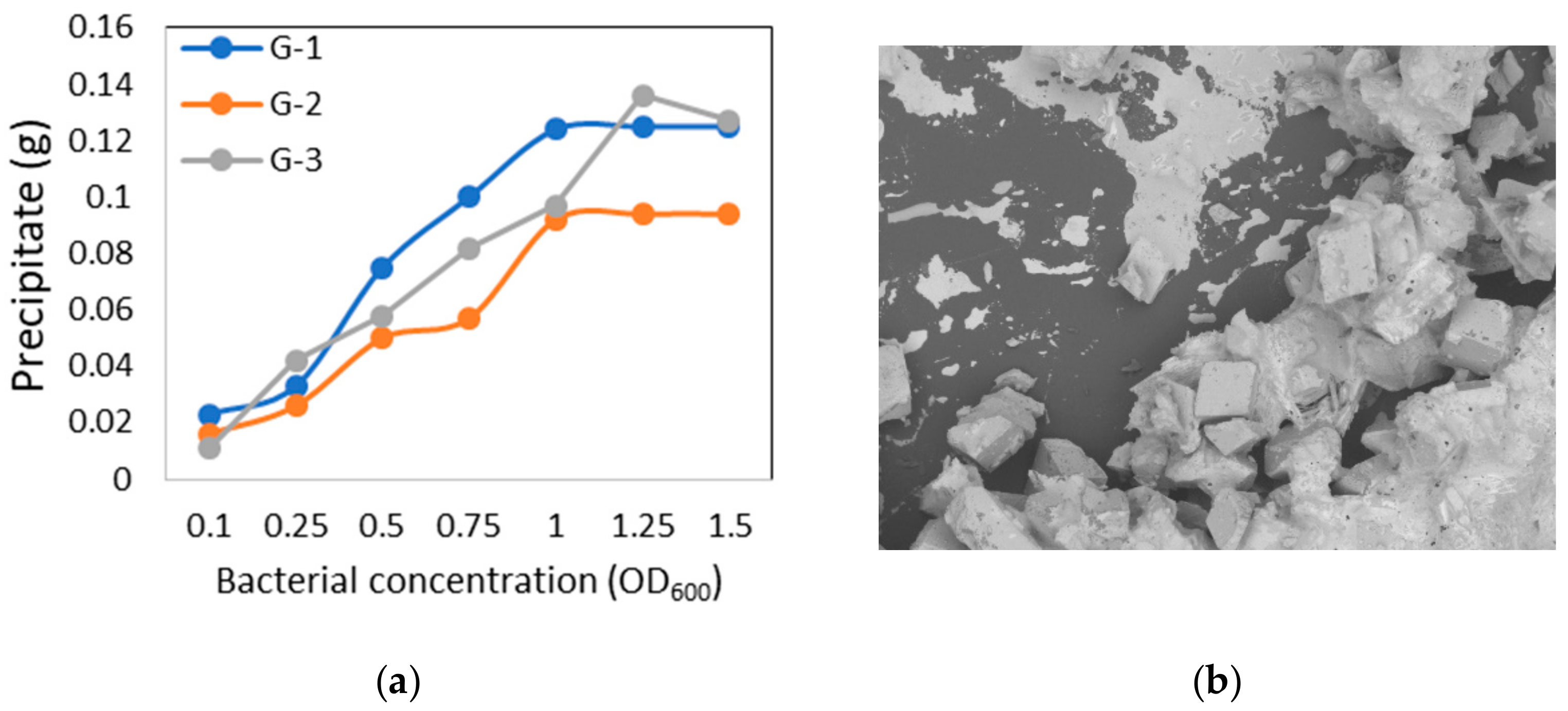 Applsci 09 04462 g007