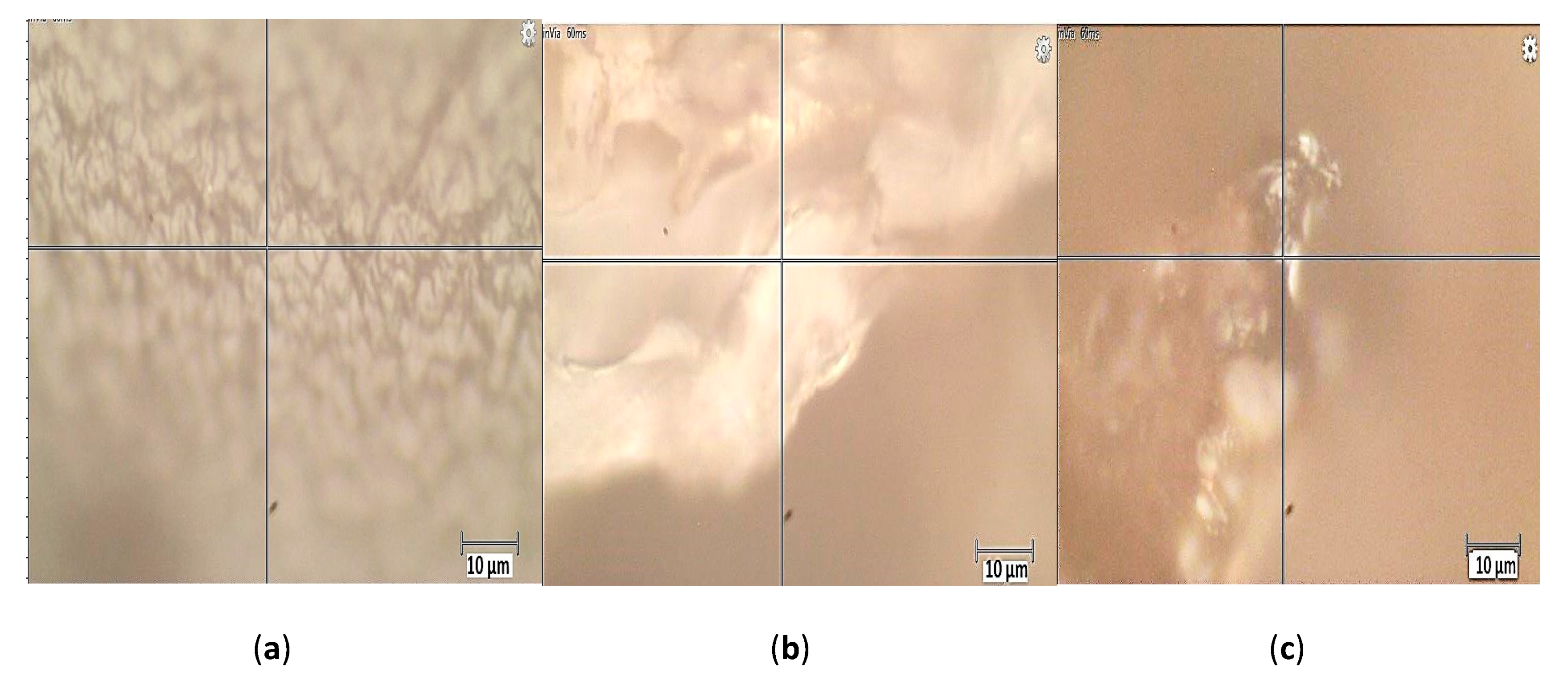 Applsci 09 04531 g002