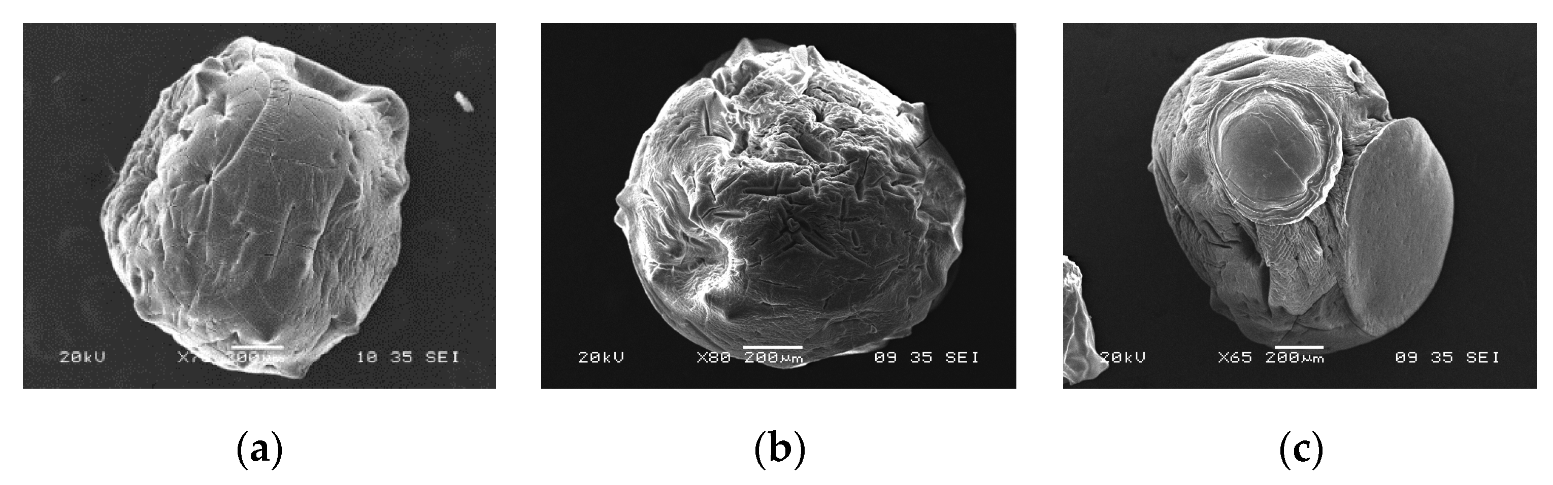 Applsci 09 04531 g005