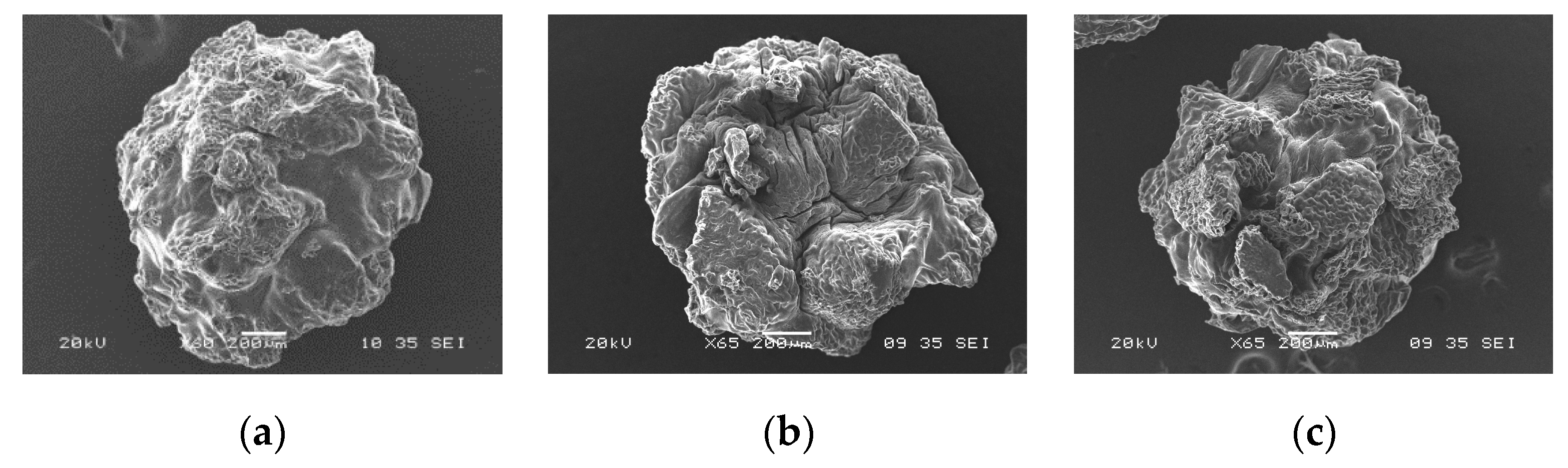 Applsci 09 04531 g006