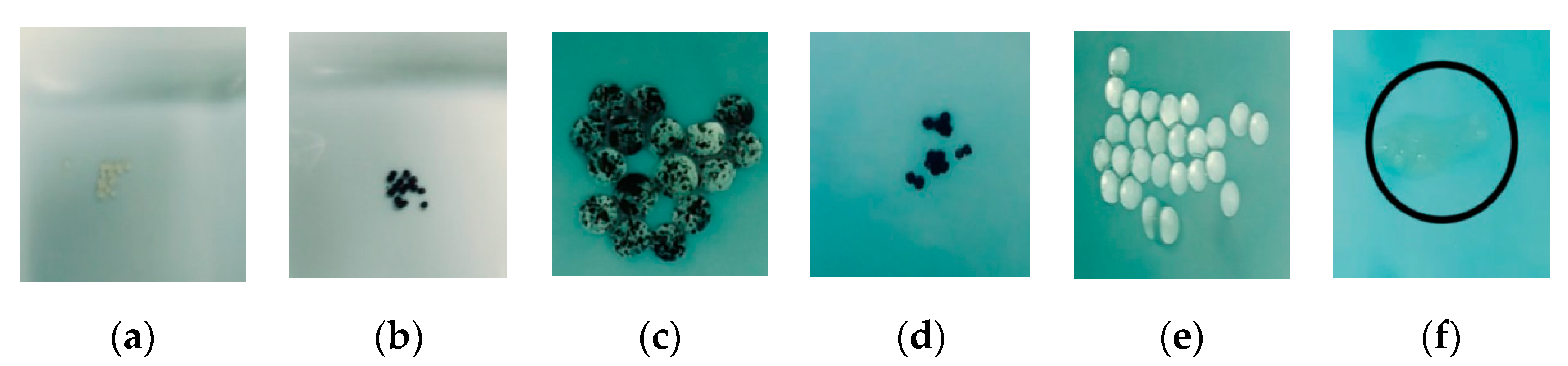 Applsci 09 04531 g014