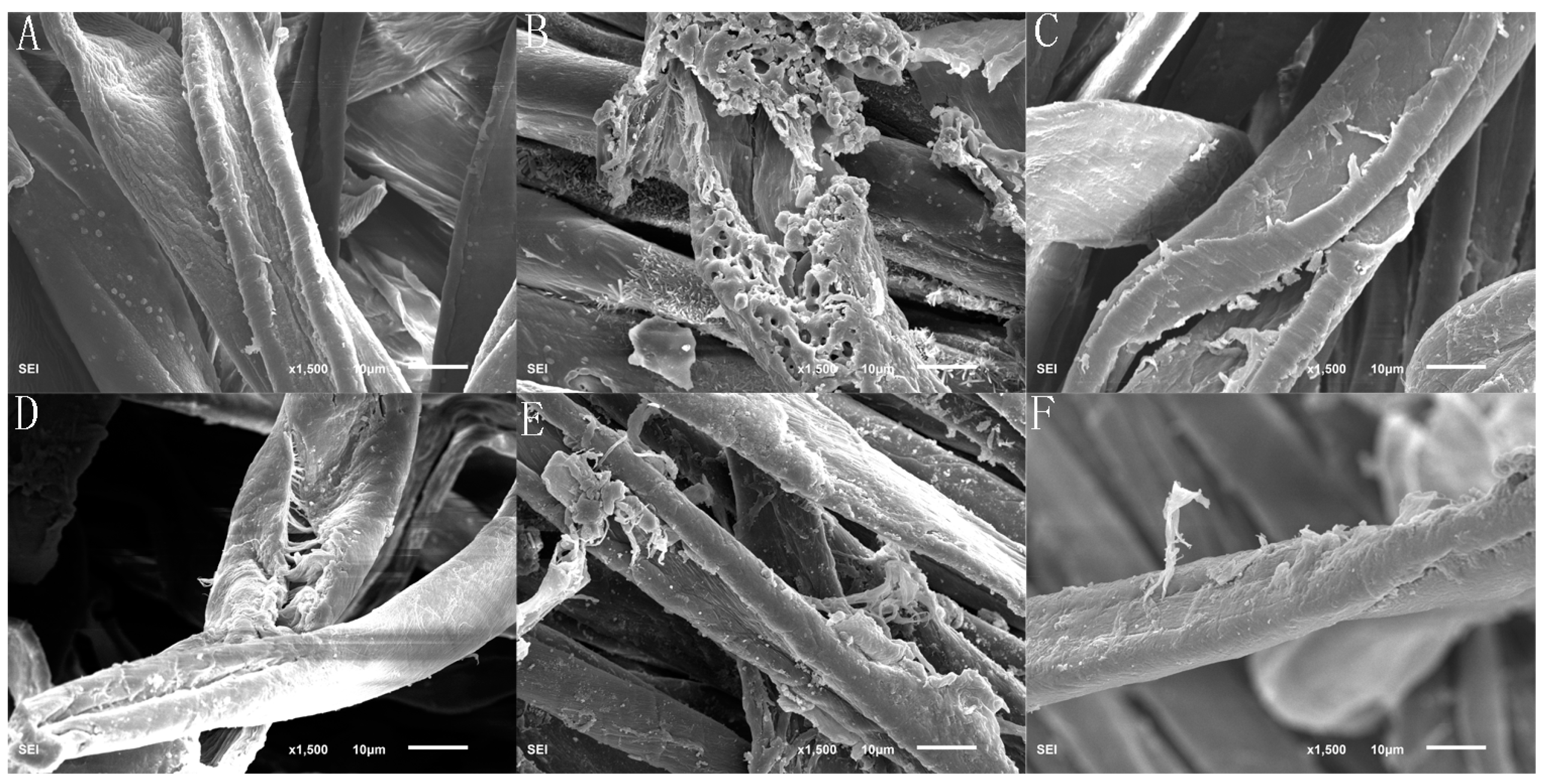 Applsci 09 04662 g007 Applsci 09 04662 g007