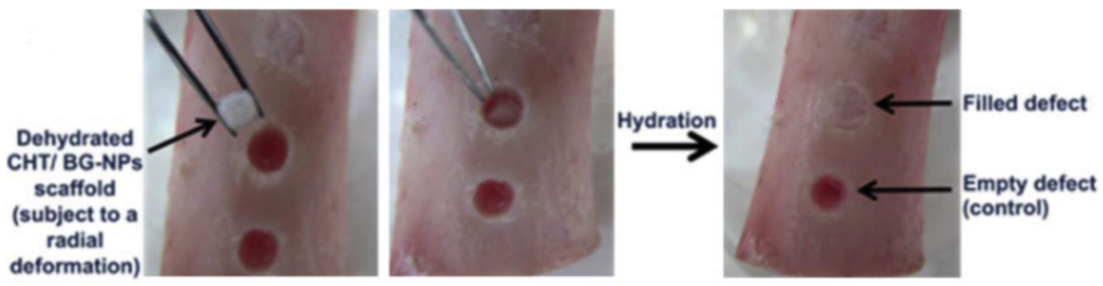 Applsci 09 04694 g005