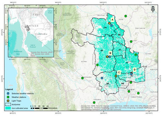 Applied Sciences Free Full Text Predicting Rice Pest Population Occurrence With Satellite Derived Crop Phenology Ground Meteorological Observation And Machine Learning A Case Study For The Central Plain Of Thailand Html