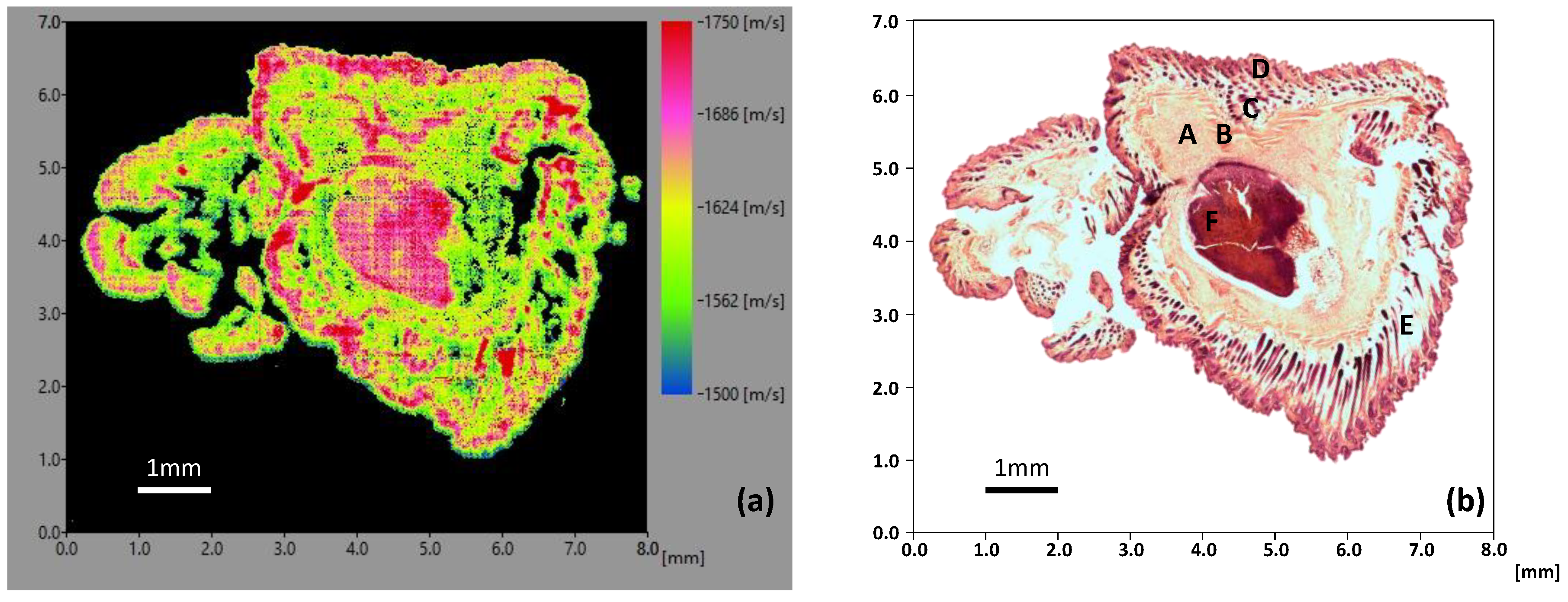 Applsci 09 04883 g006 Applsci 09 04883 g006