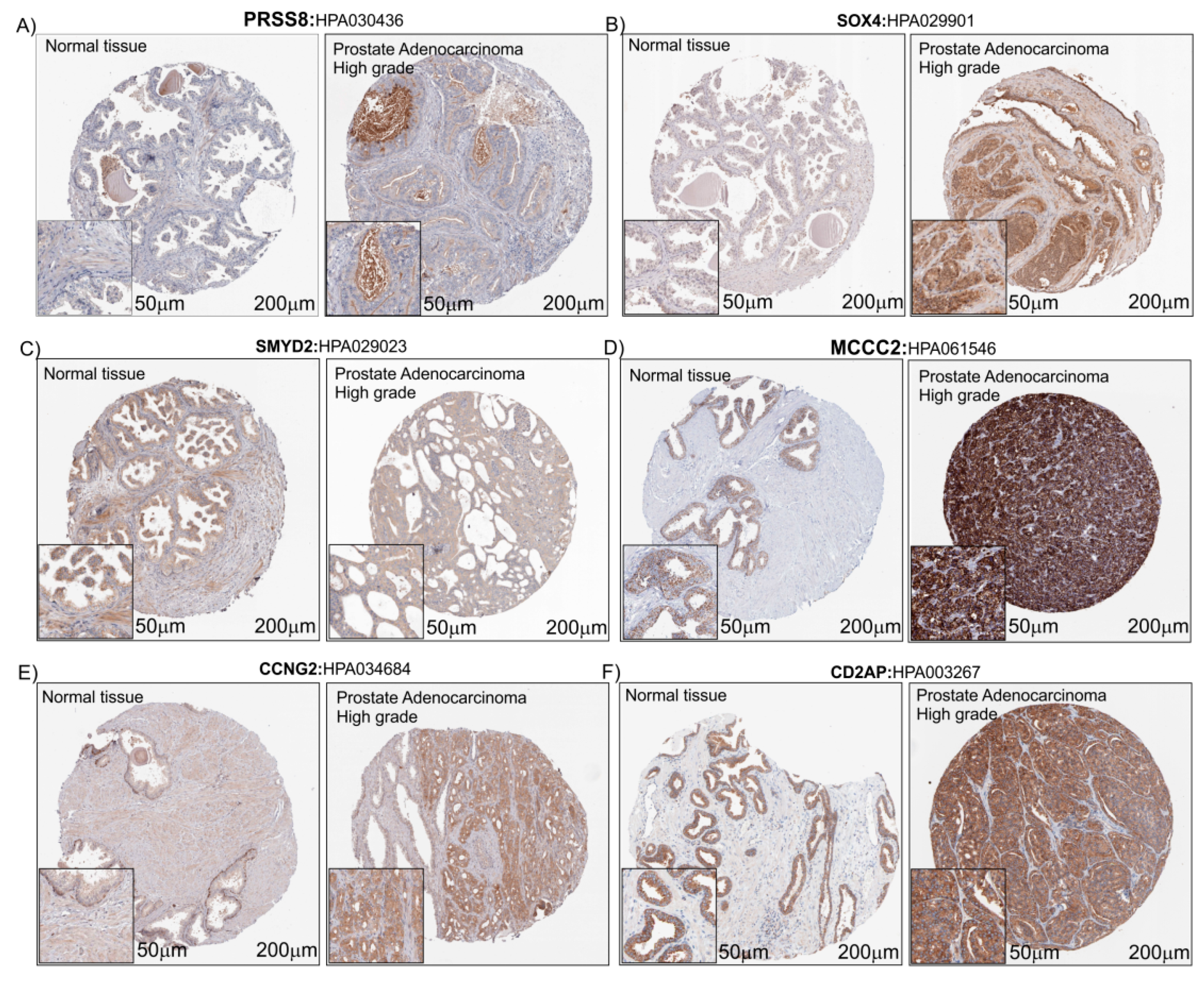 Applsci 09 04923 g007