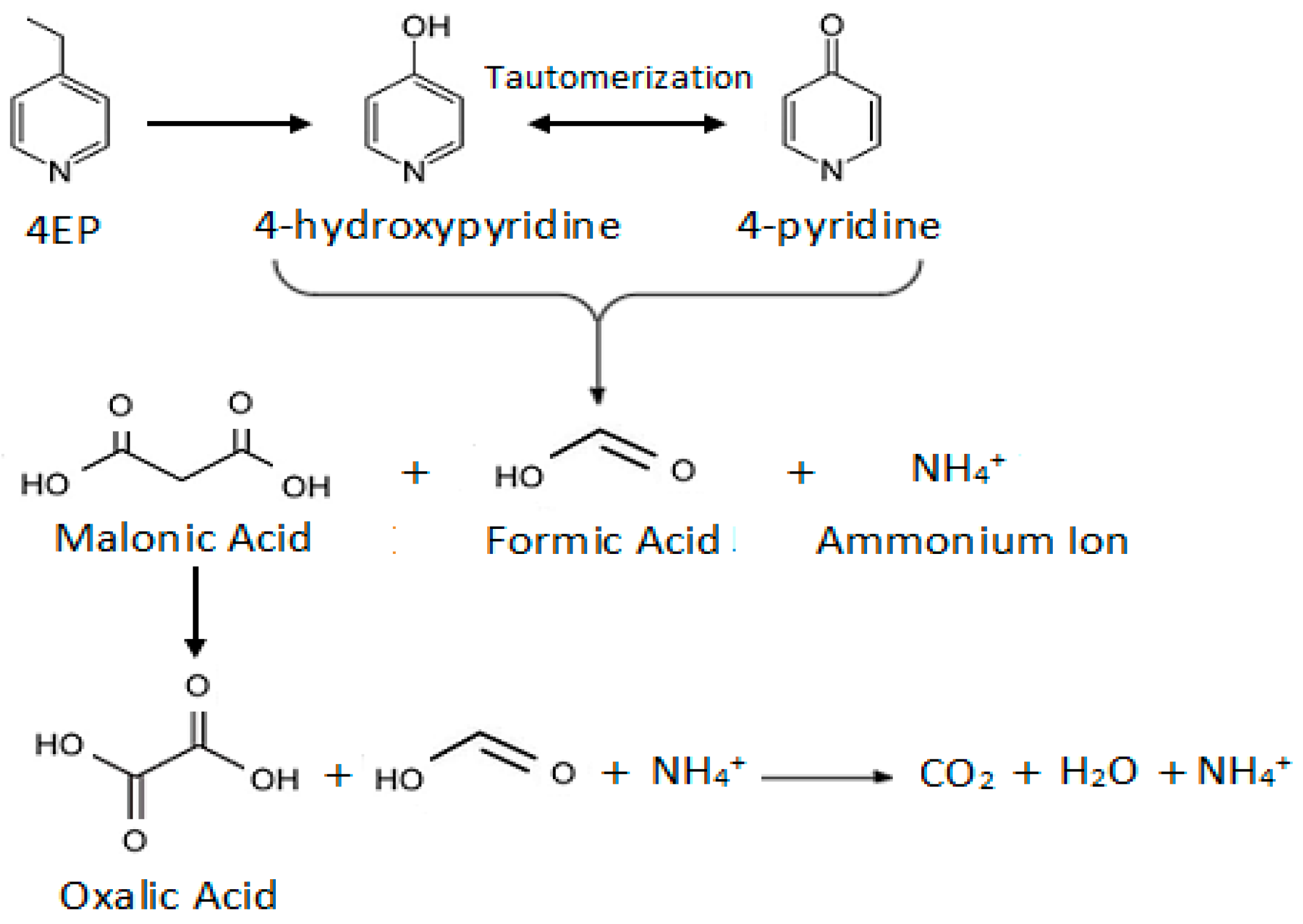 Applsci 09 05073 g006 Applsci 09 05073 g006