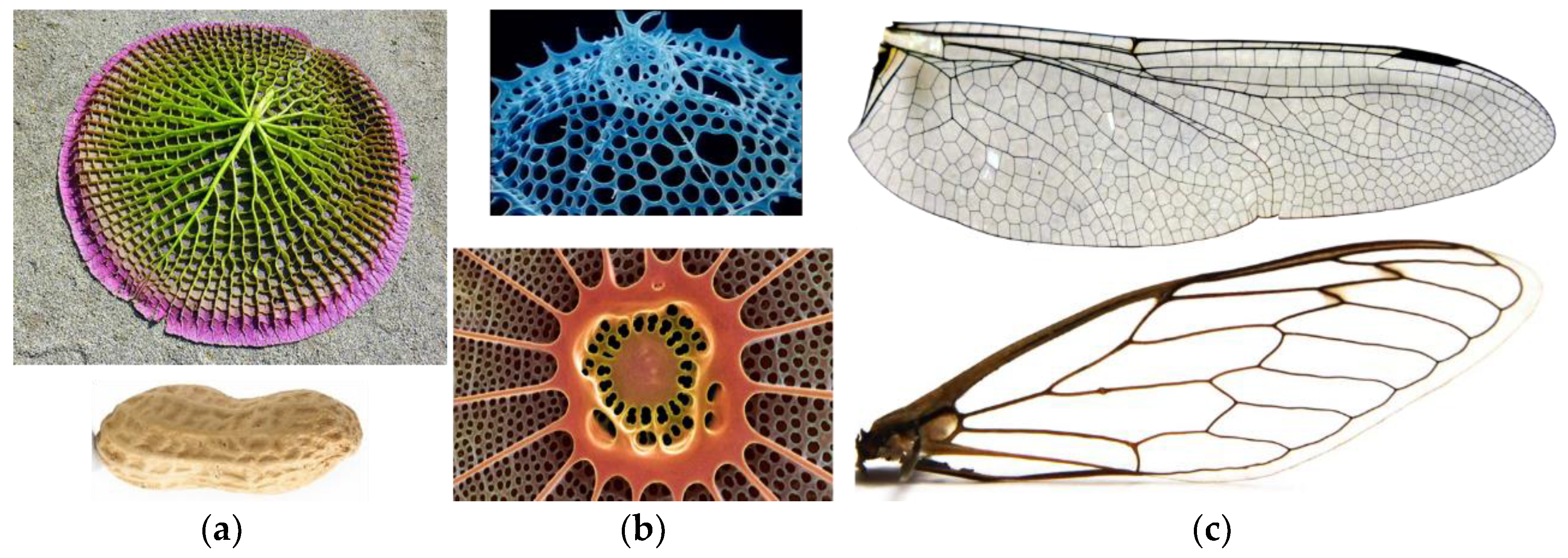 Applsci 09 05196 g003