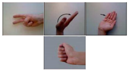 Applsci 09 05343 i005