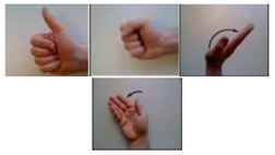 Applsci 09 05343 i011