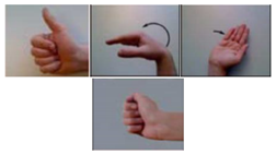 Applsci 09 05343 i015