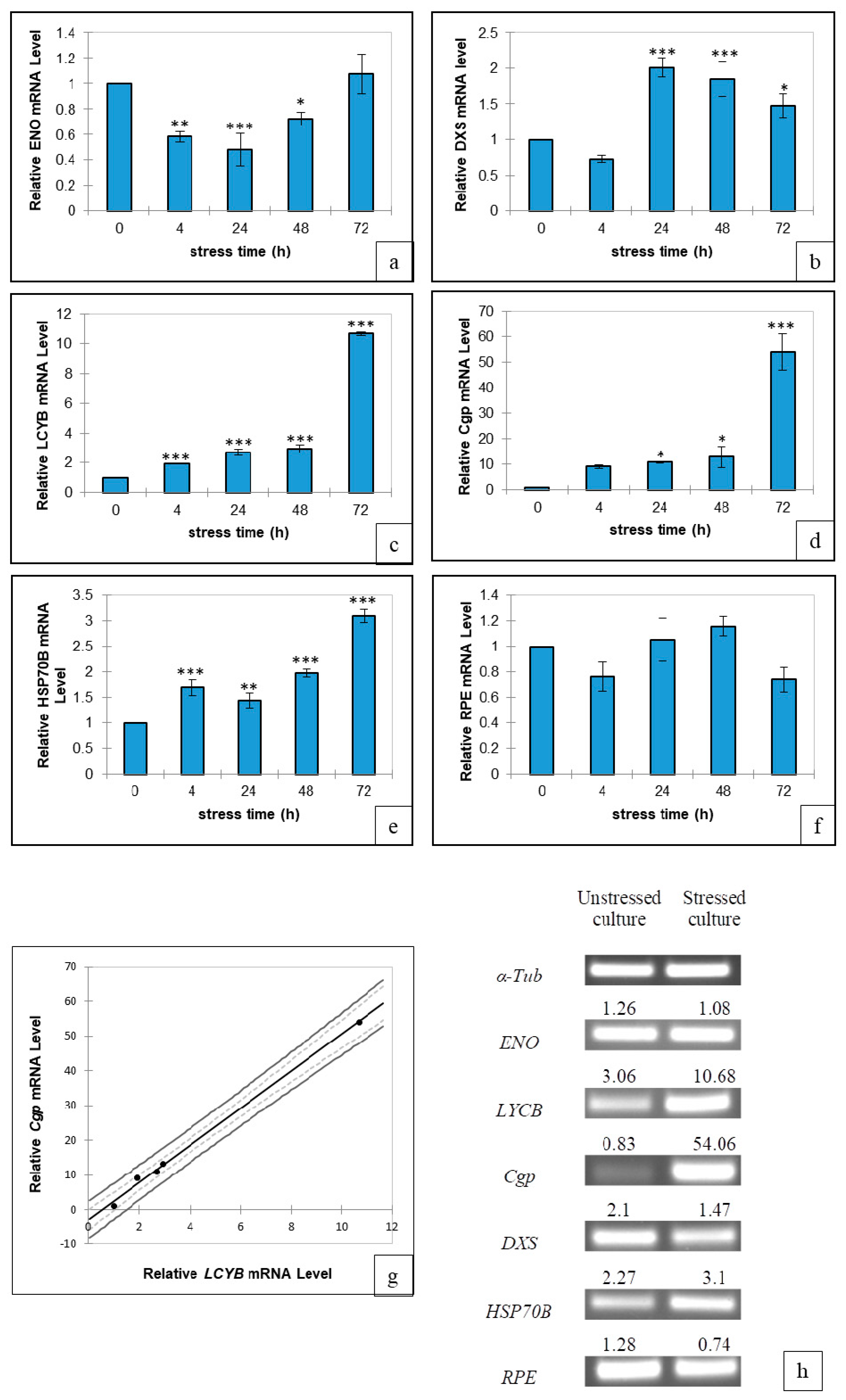 Applsci 09 05389 g003 Applsci 09 05389 g003