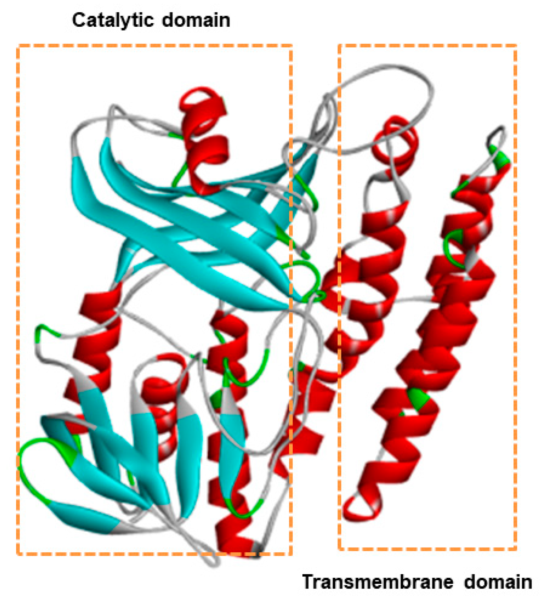 Applsci 09 05389 g005 Applsci 09 05389 g005