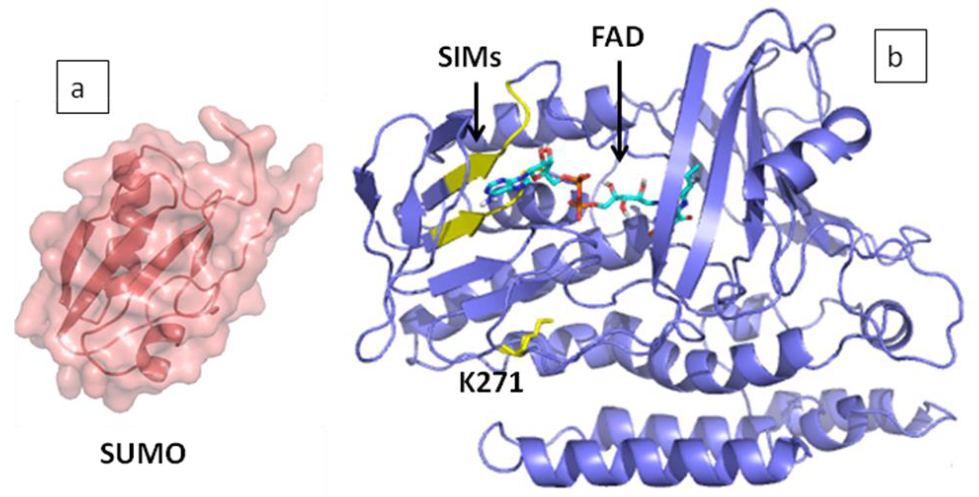Applsci 09 05389 g007 Applsci 09 05389 g007