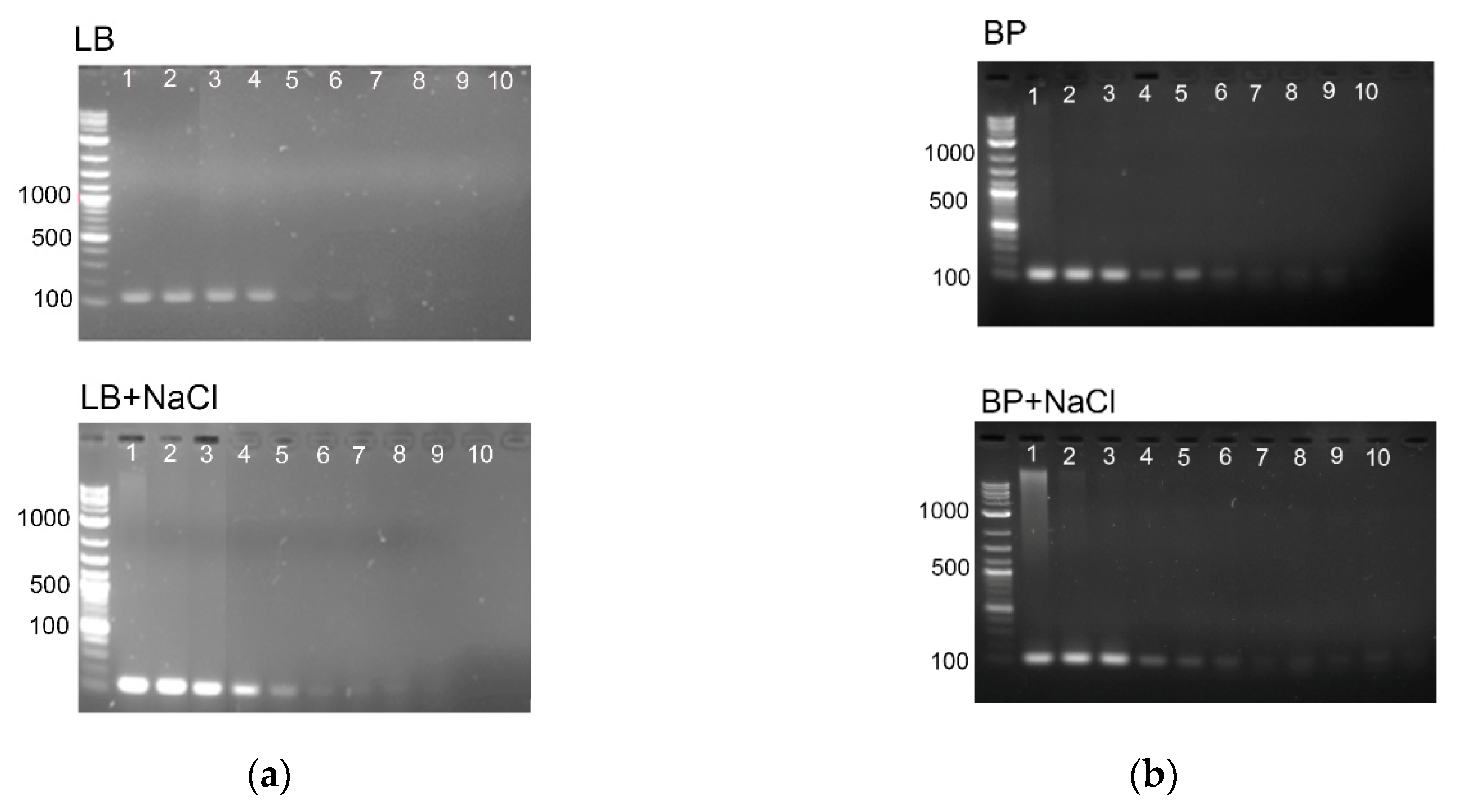 Applsci 09 05392 g002