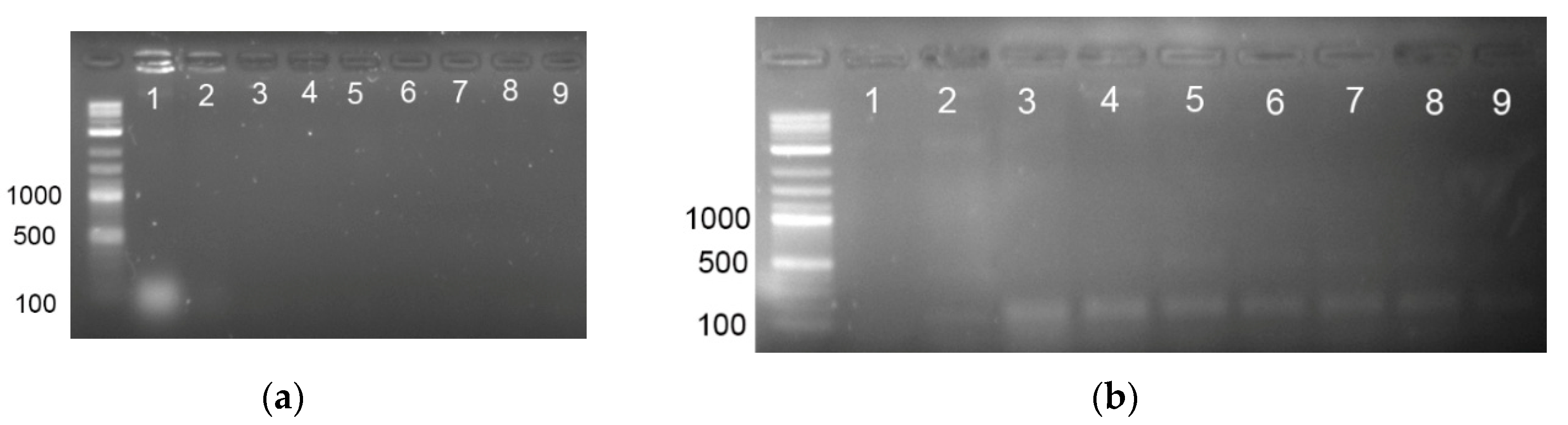 Applsci 09 05392 g005