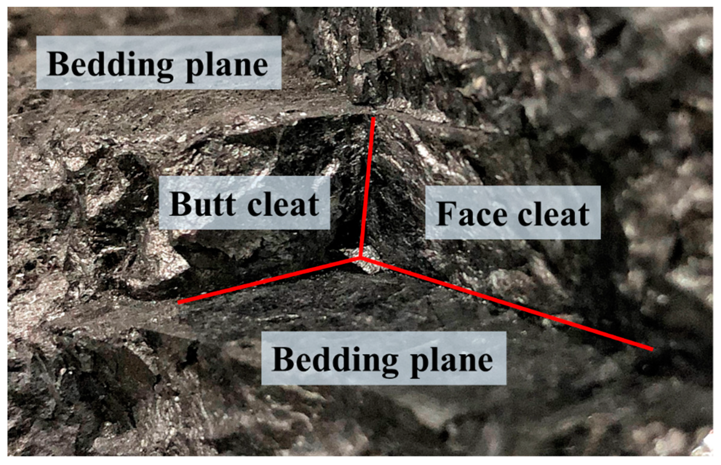 Applsci 09 05536 g001